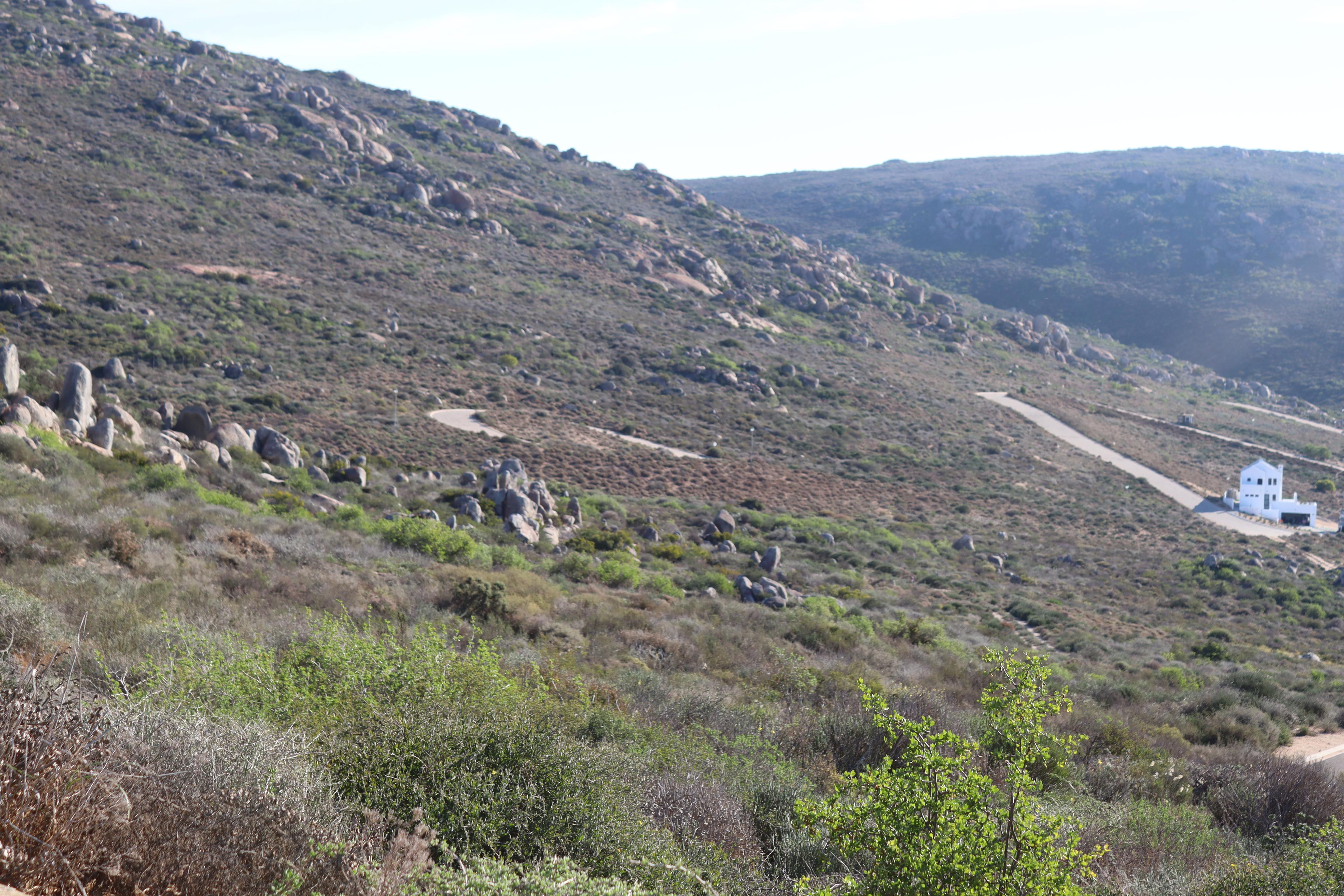 Image 4 of 6