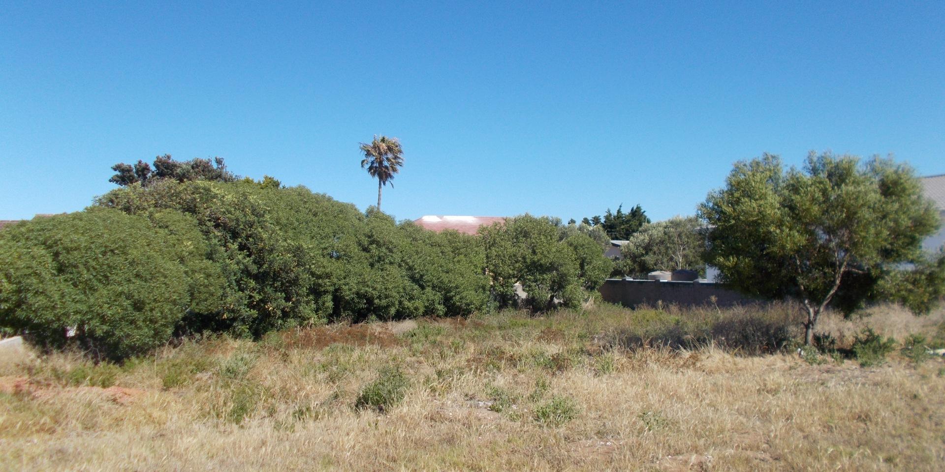 Image 2 of 6
