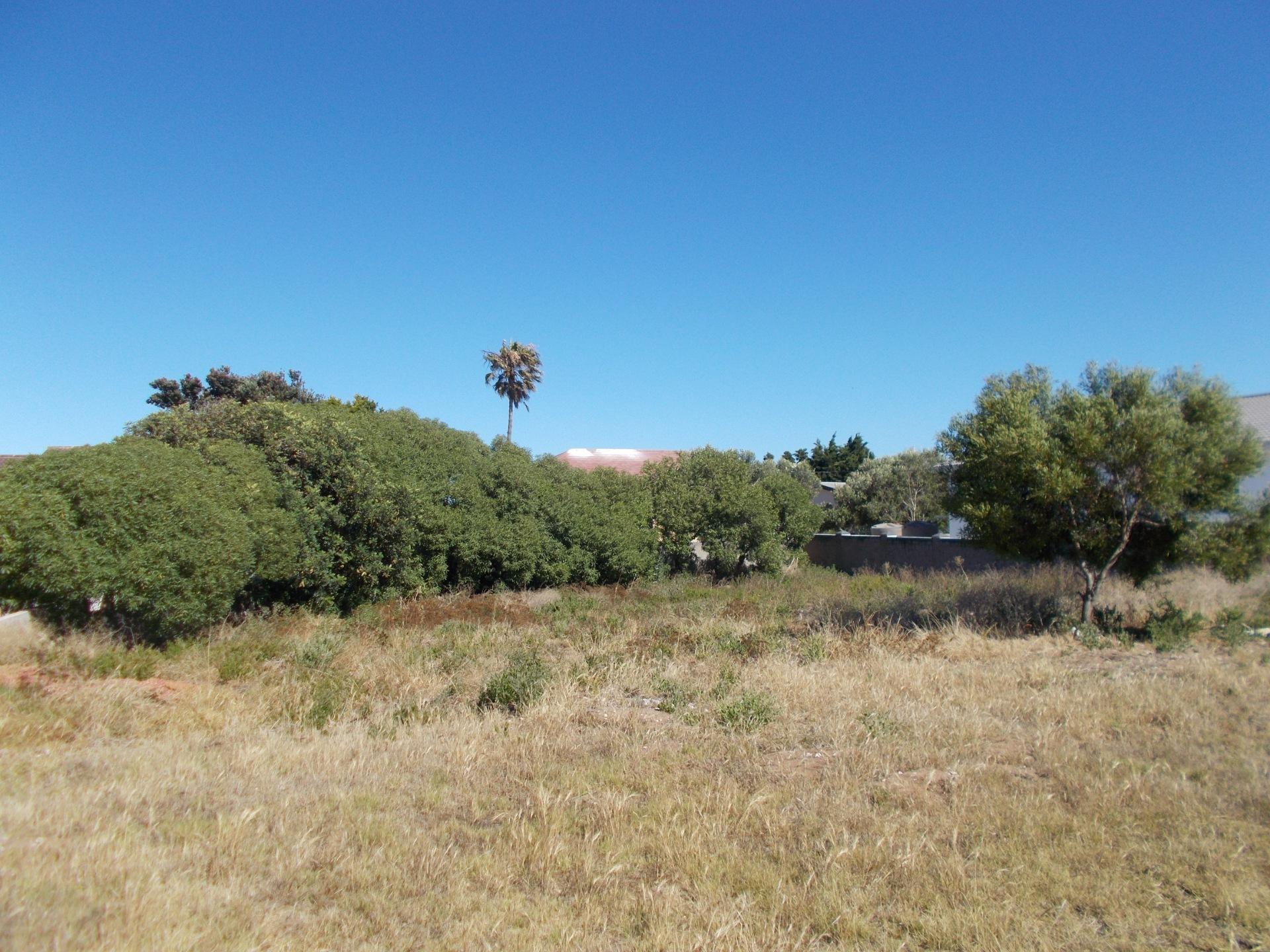 Image 2 of 6
