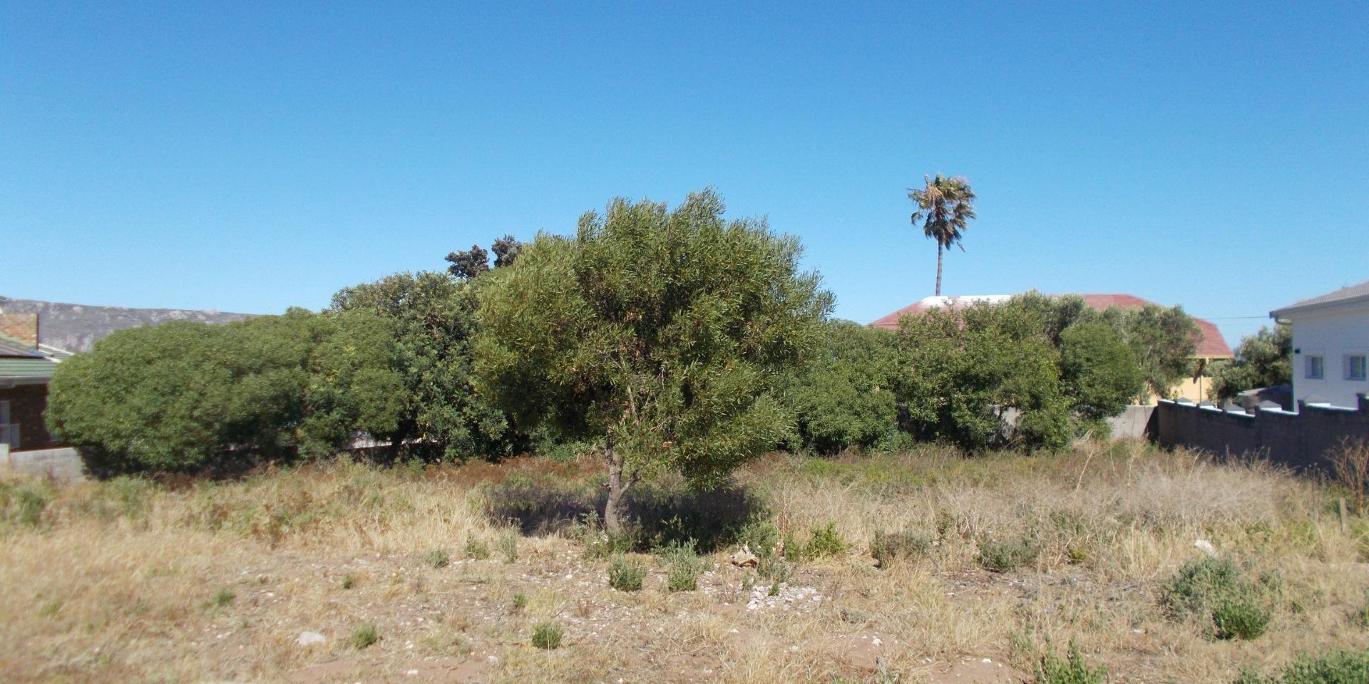 Image 4 of 6