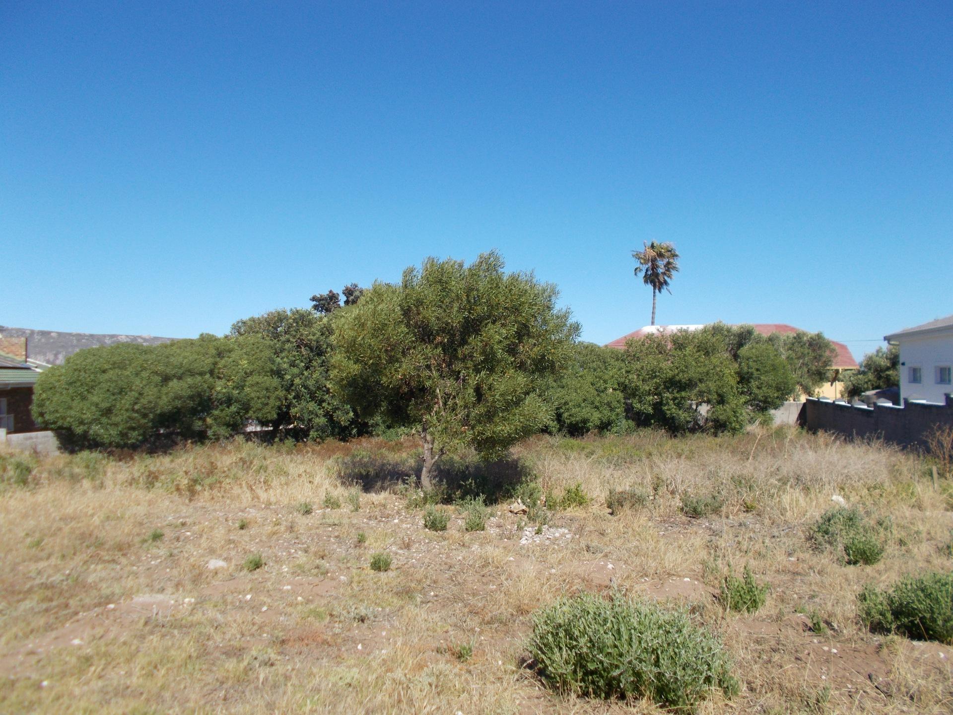 Image 4 of 6
