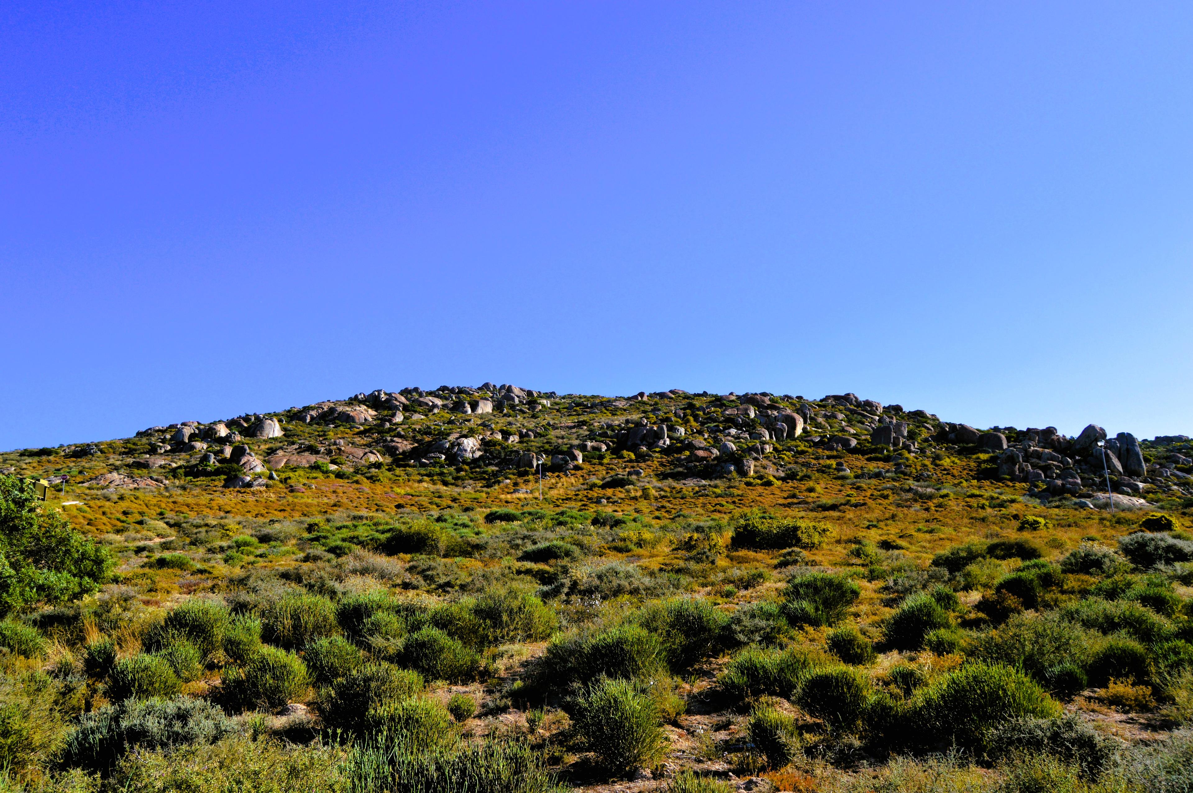 Image 5 of 6