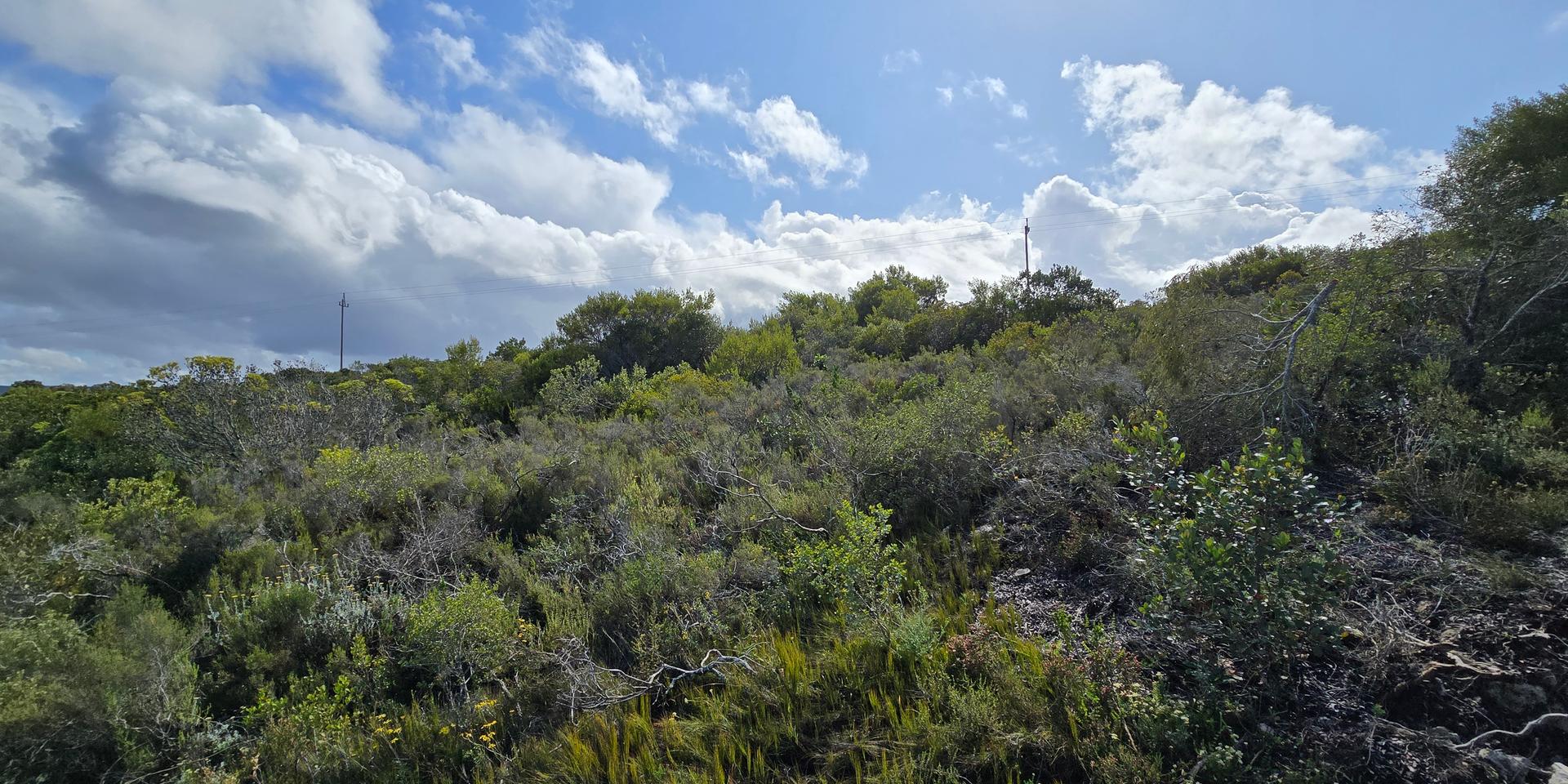 Image 4 of 6