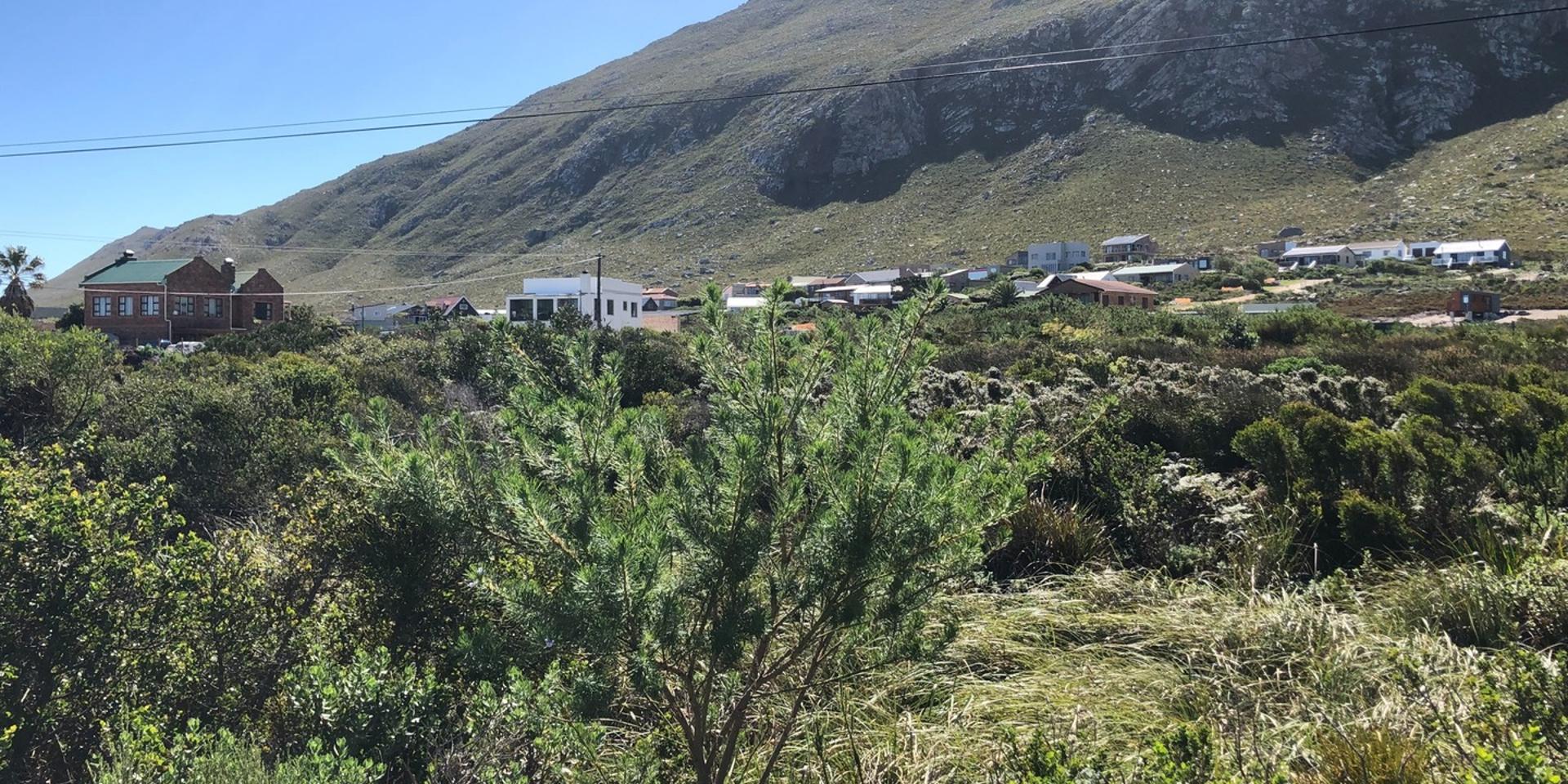 Image 5 of 6