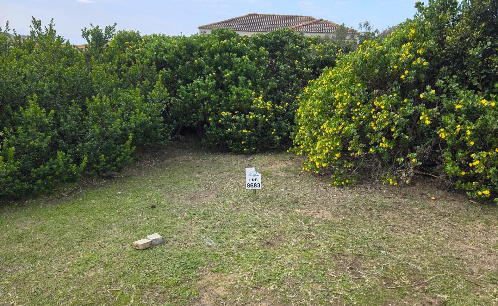 Image 14