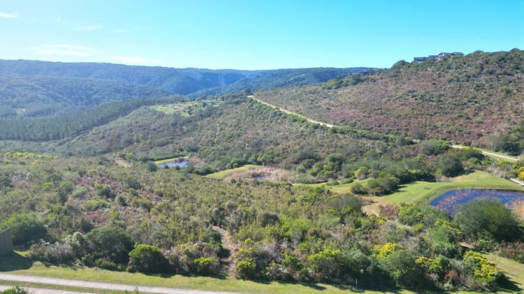 Main property image