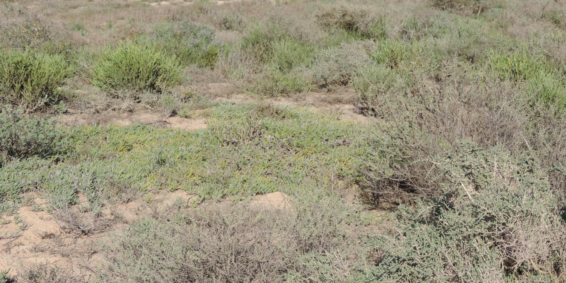 Image 5 of 6
