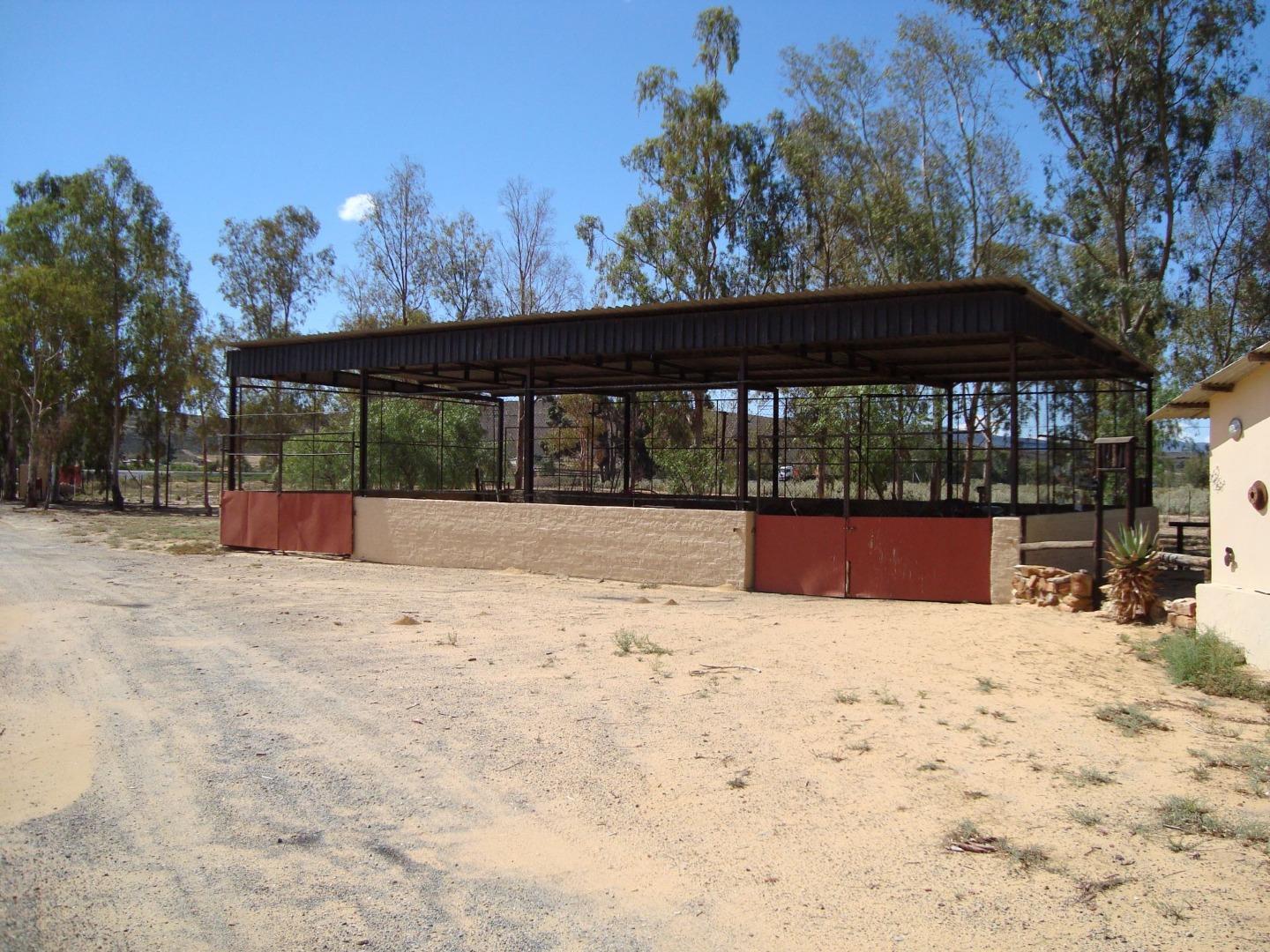 Image 18