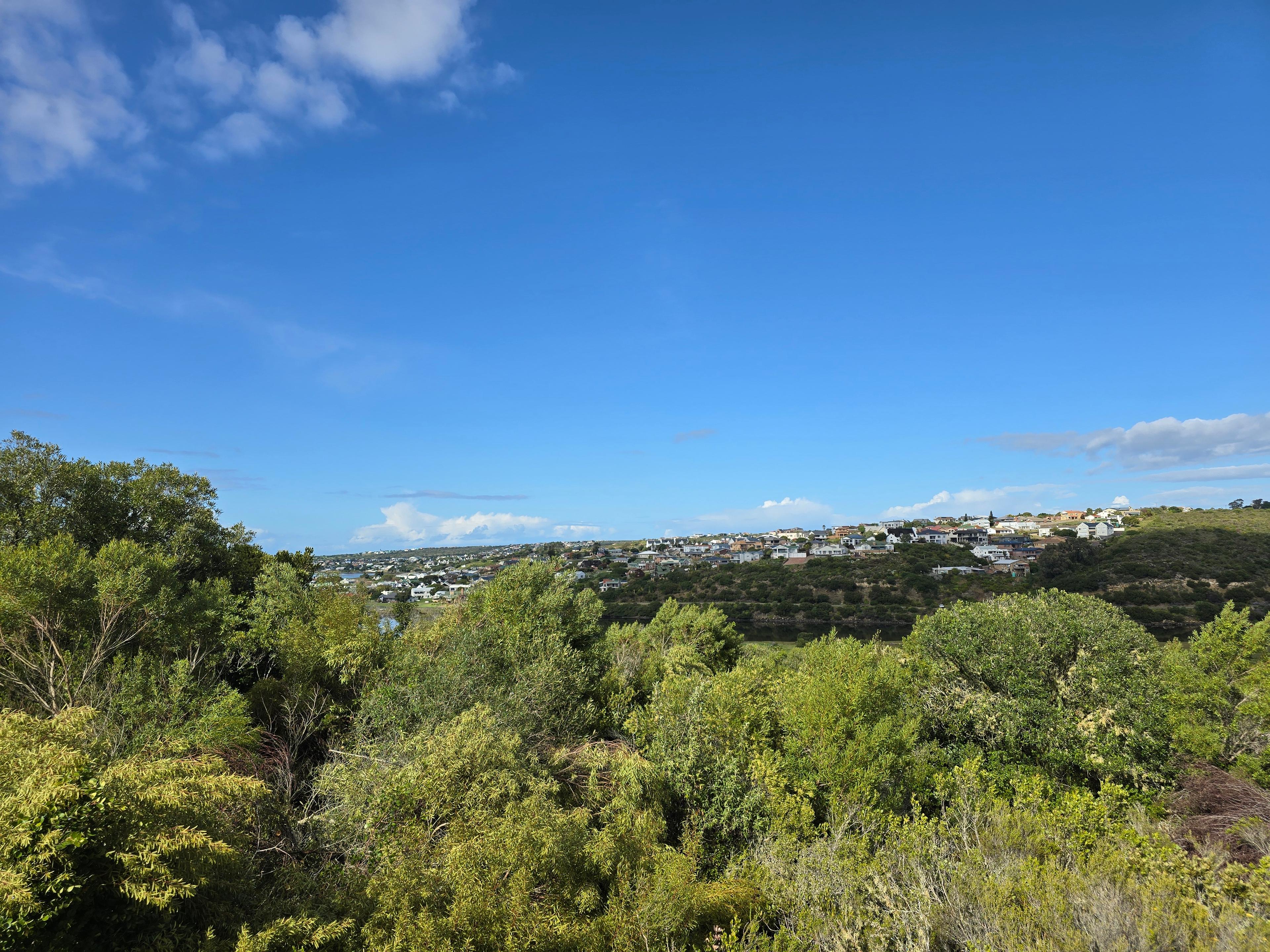 Image 5 of 6
