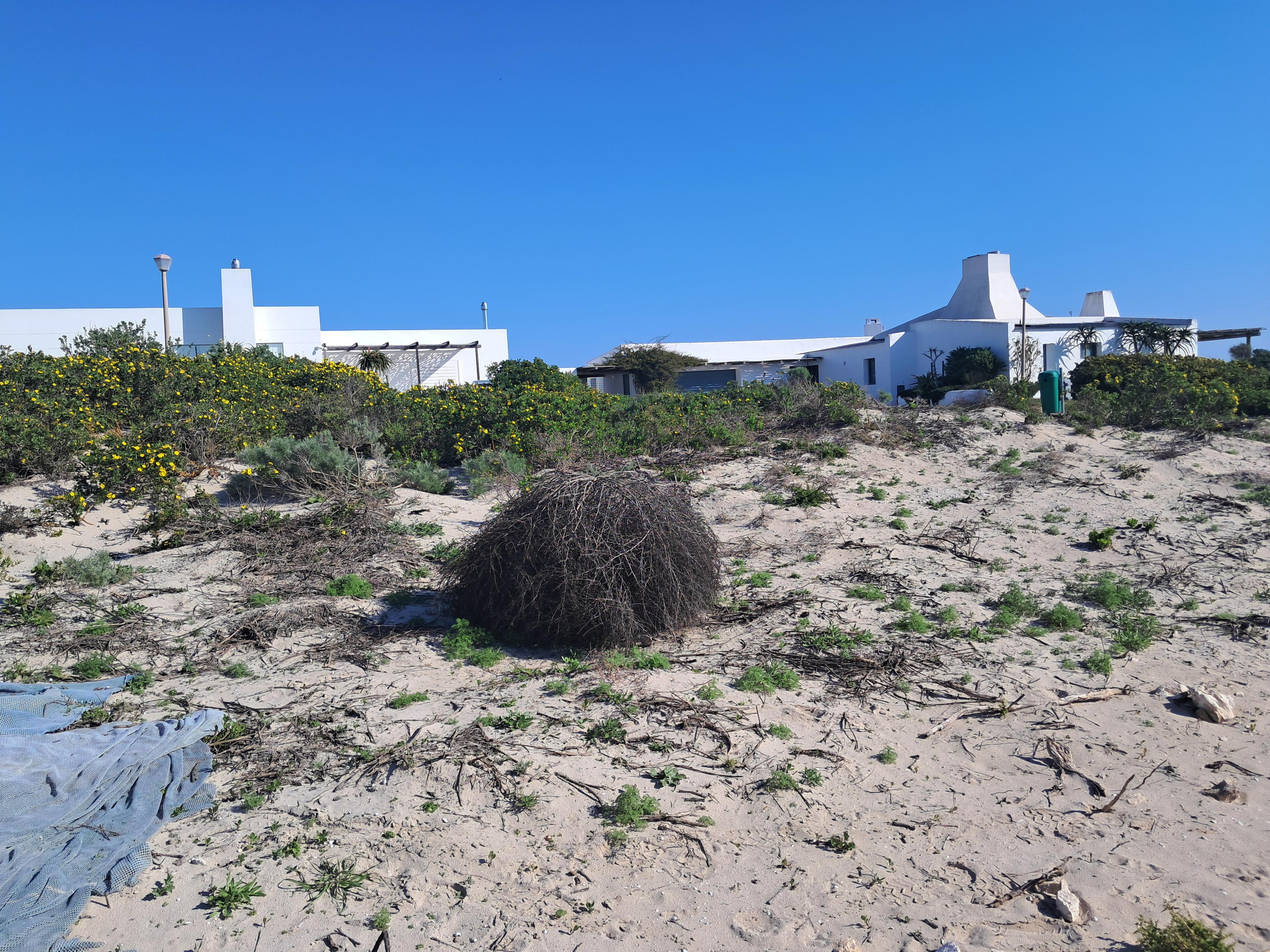 Image 4 of 6