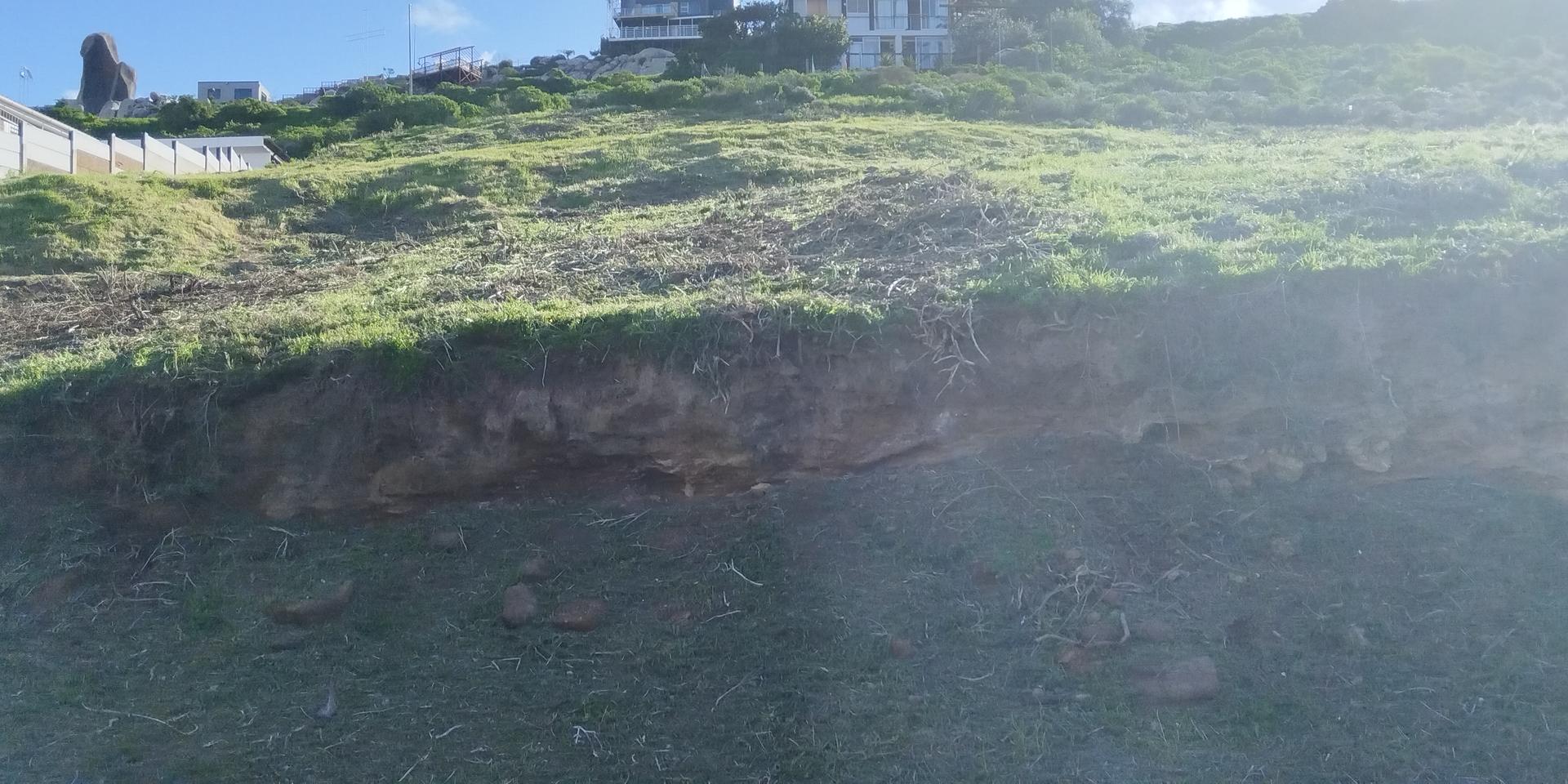 Image 4 of 6
