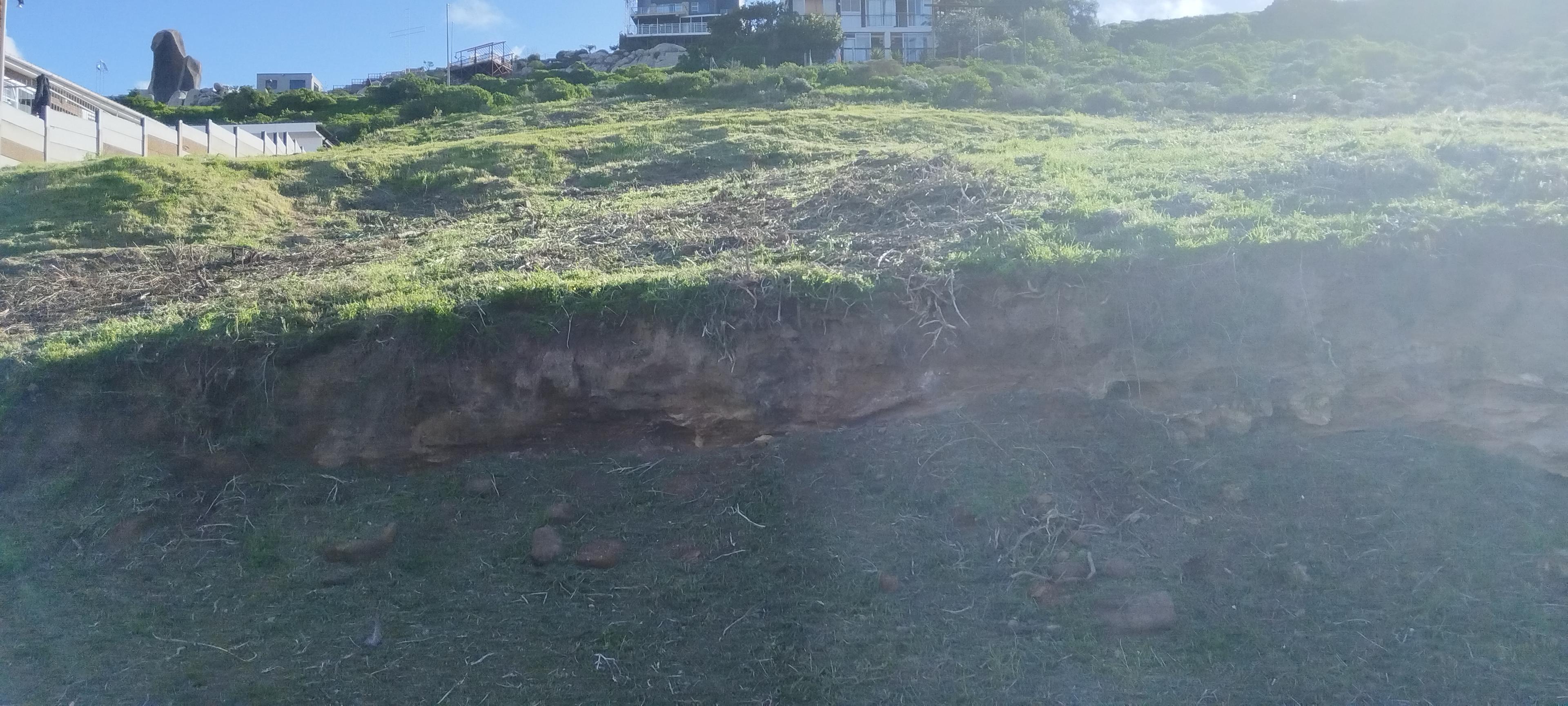 Image 5 of 6