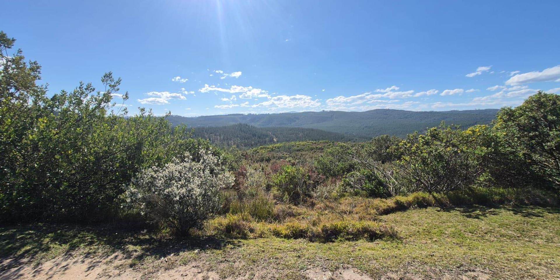 Image 4 of 6