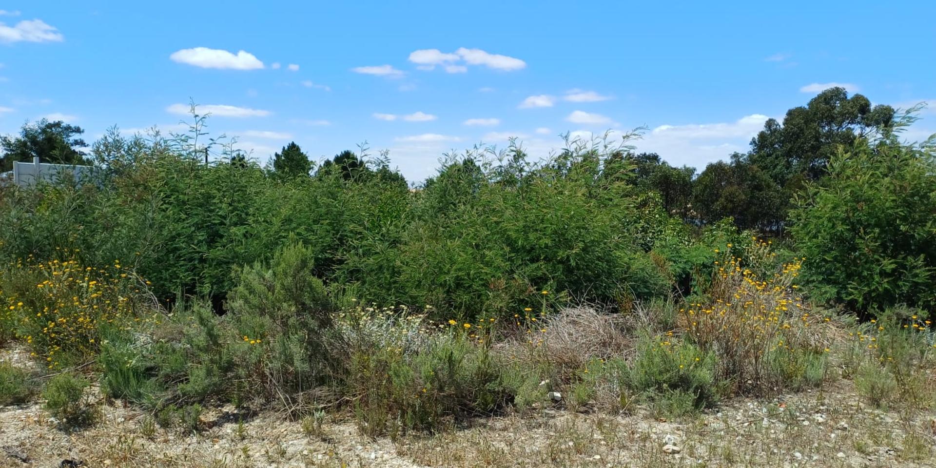 Image 4 of 6