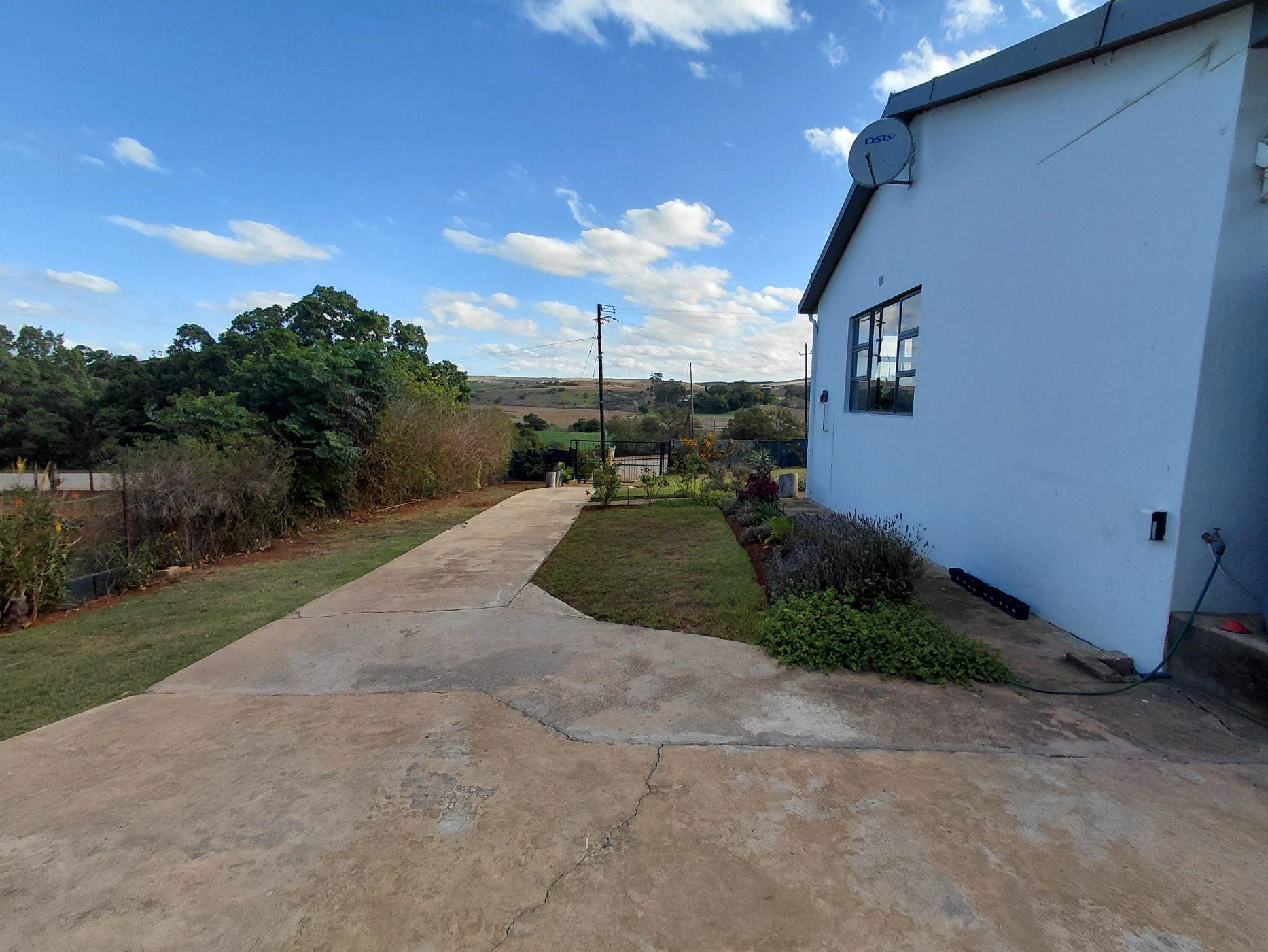 Image 50