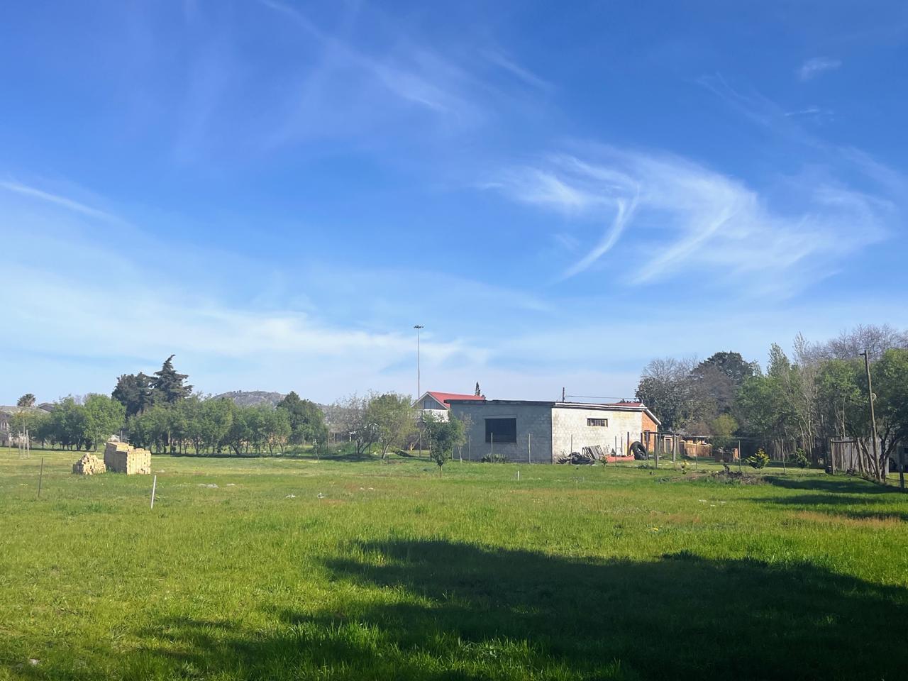 Image 4 of 6