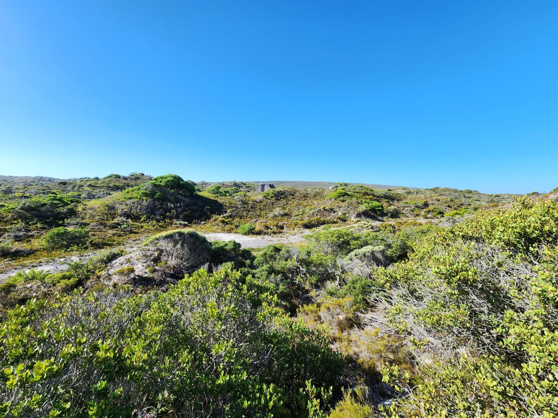 Image 13
