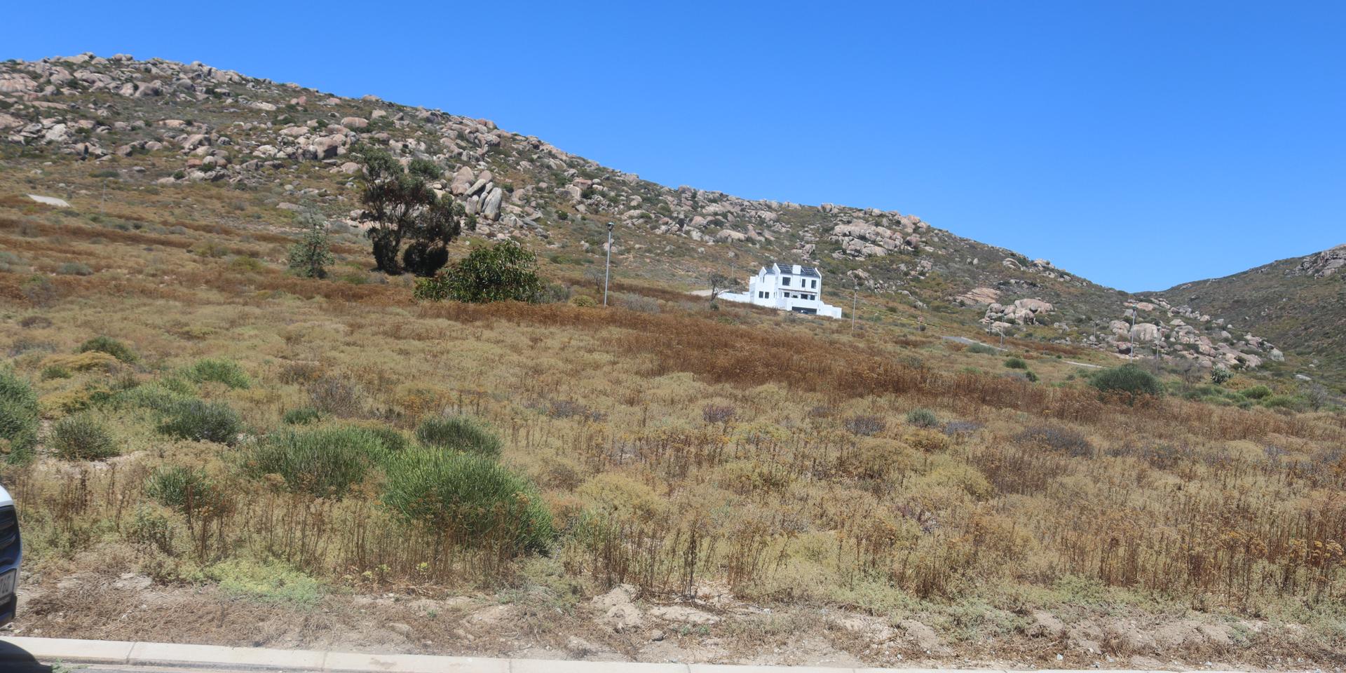 Image 2 of 6