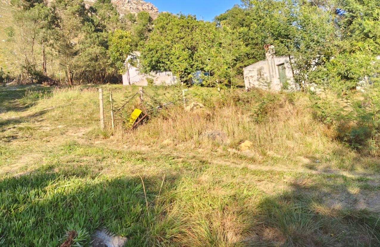 Image 32