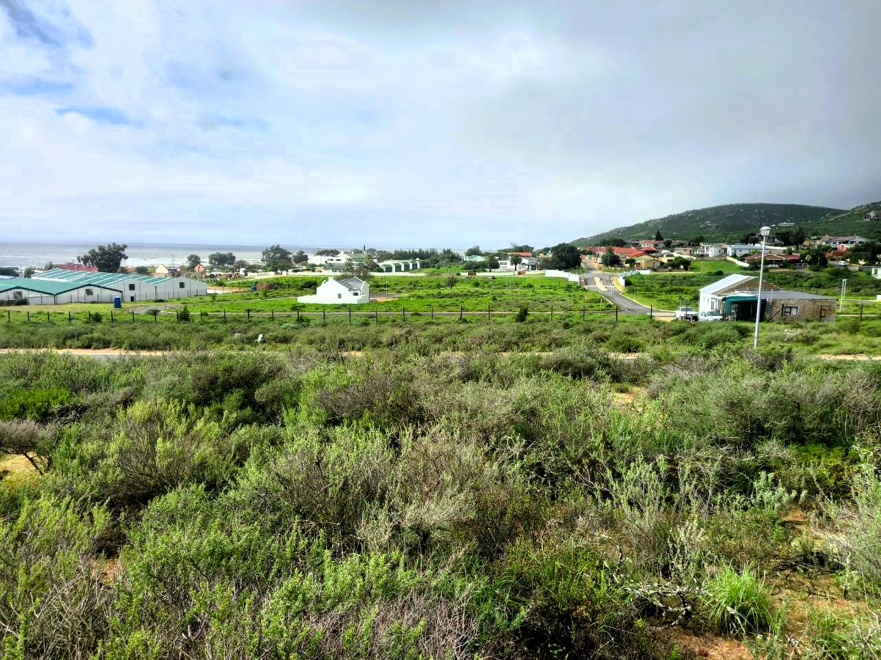 Image 8
