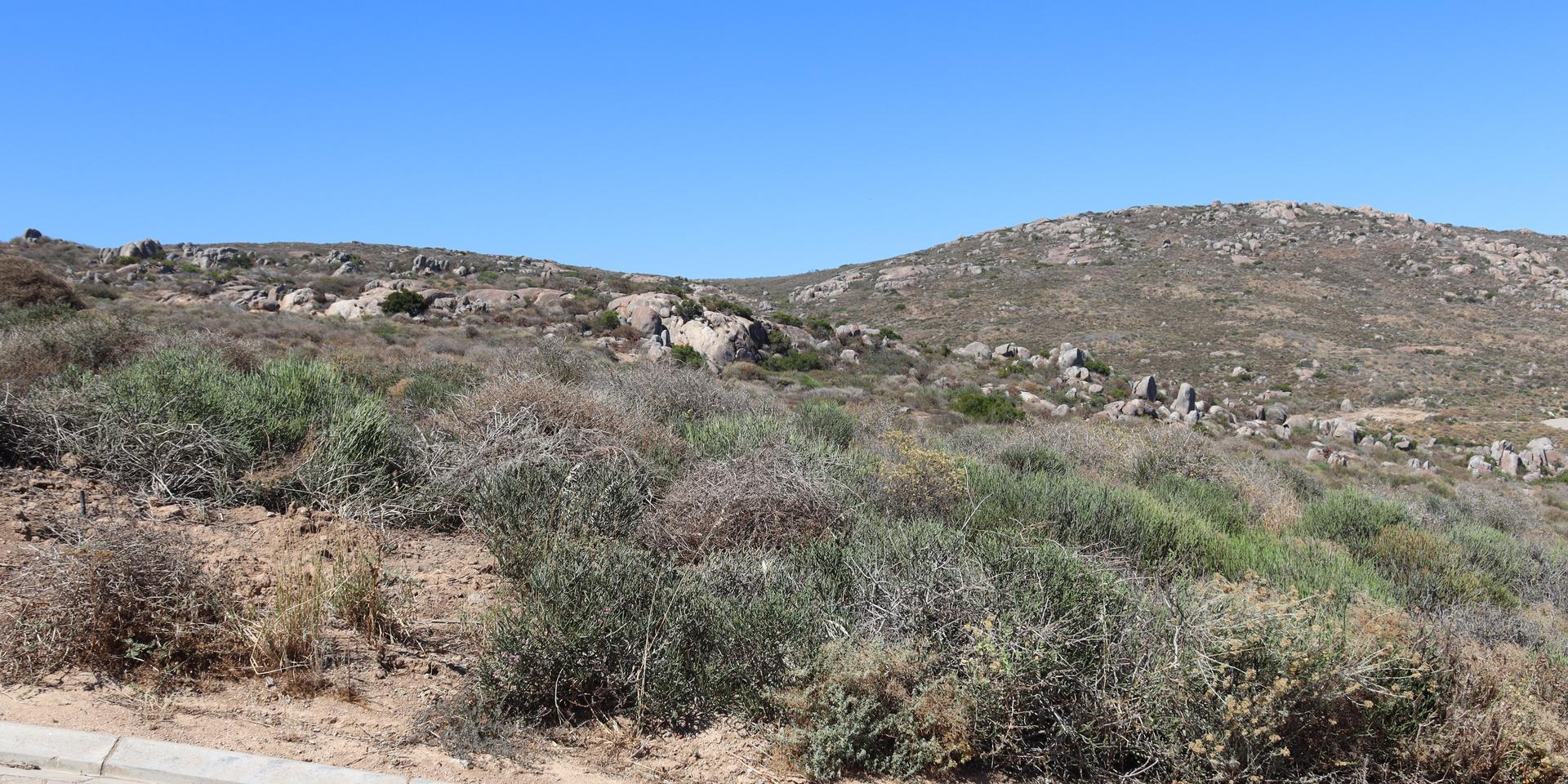 Image 4 of 6