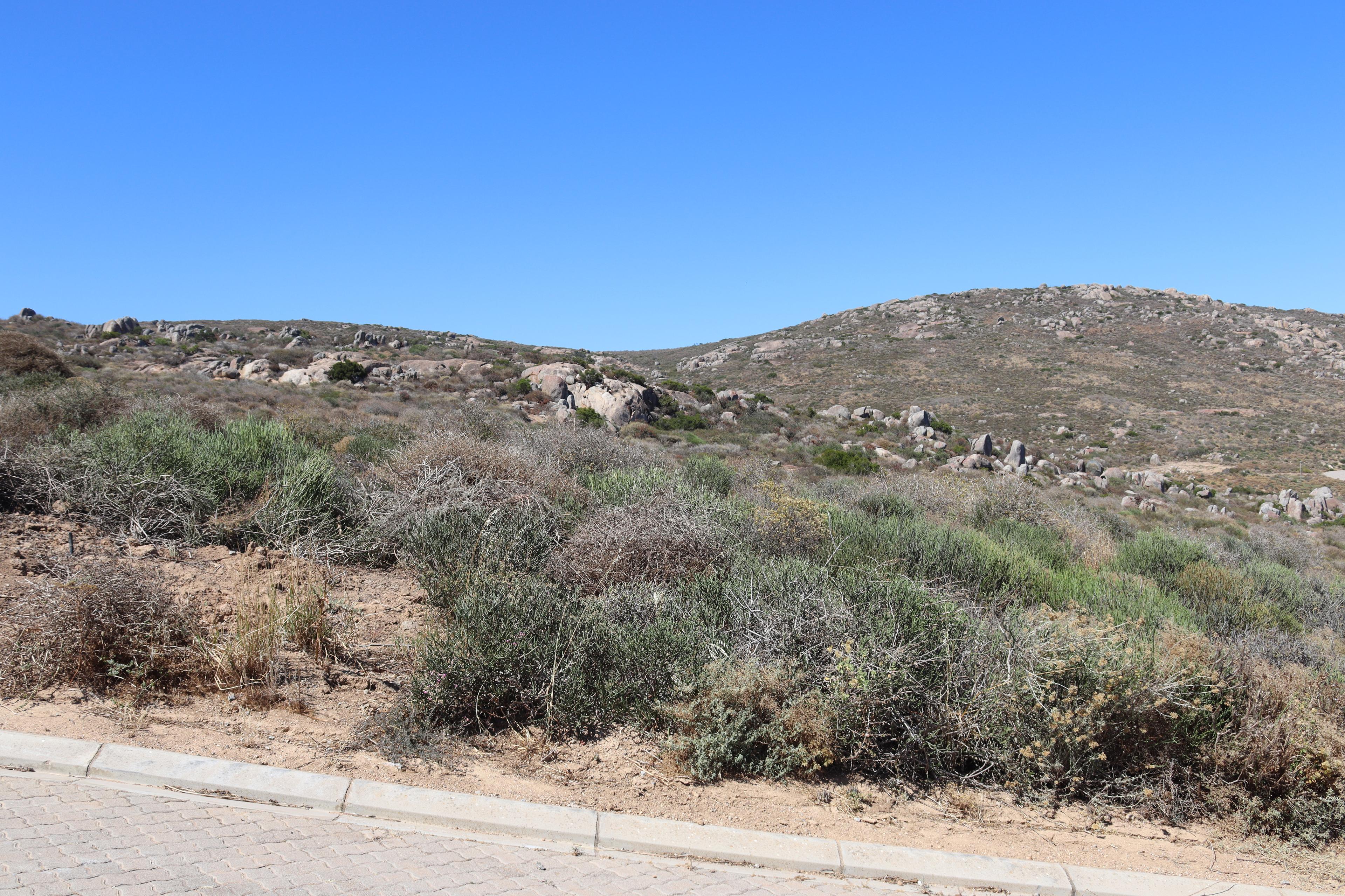 Image 4 of 6