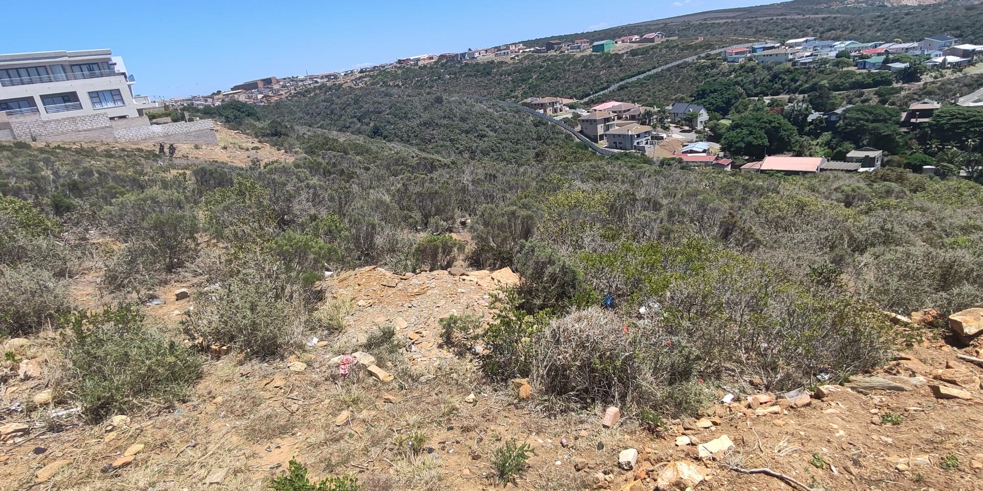 Image 4 of 6