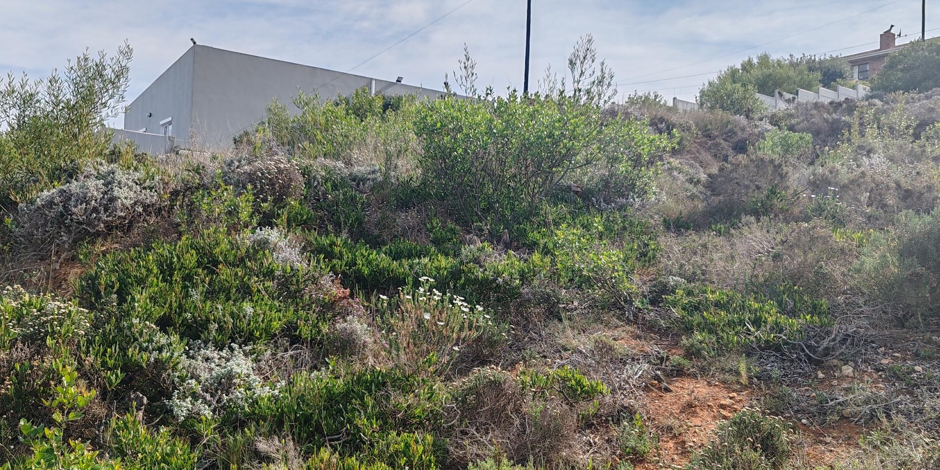 Image 4 of 6