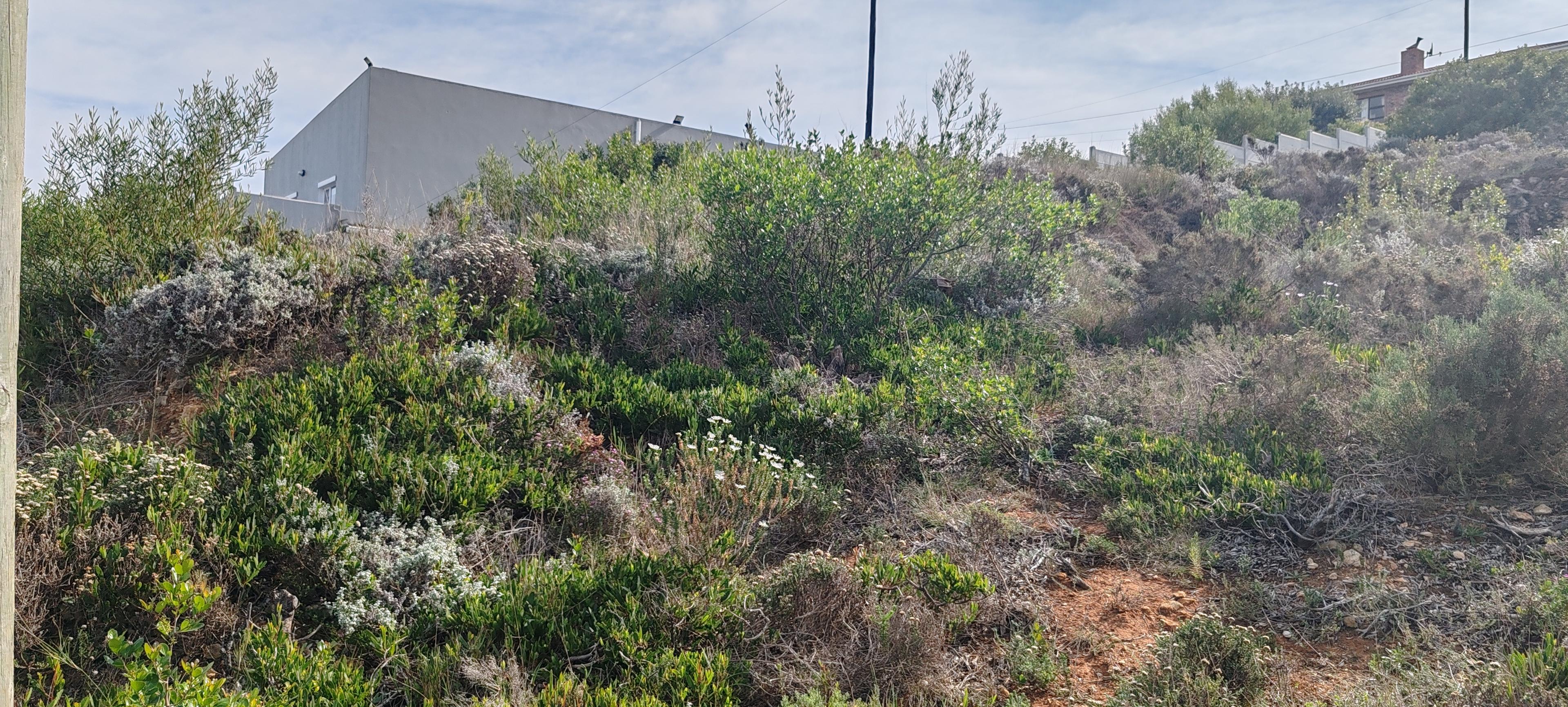 Image 4 of 6