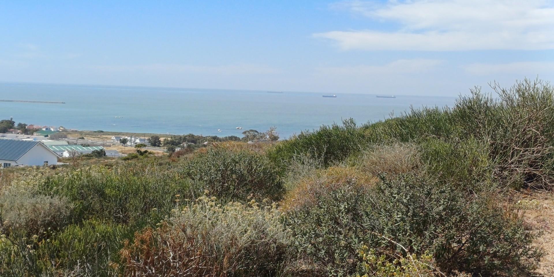 Image 3 of 6