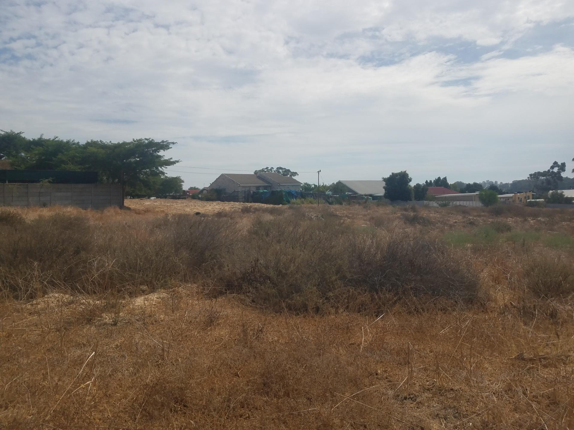 Image 10