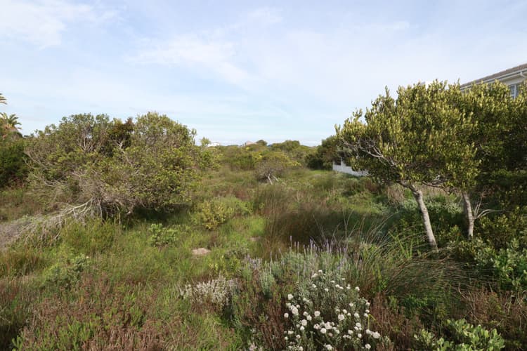 Main property image