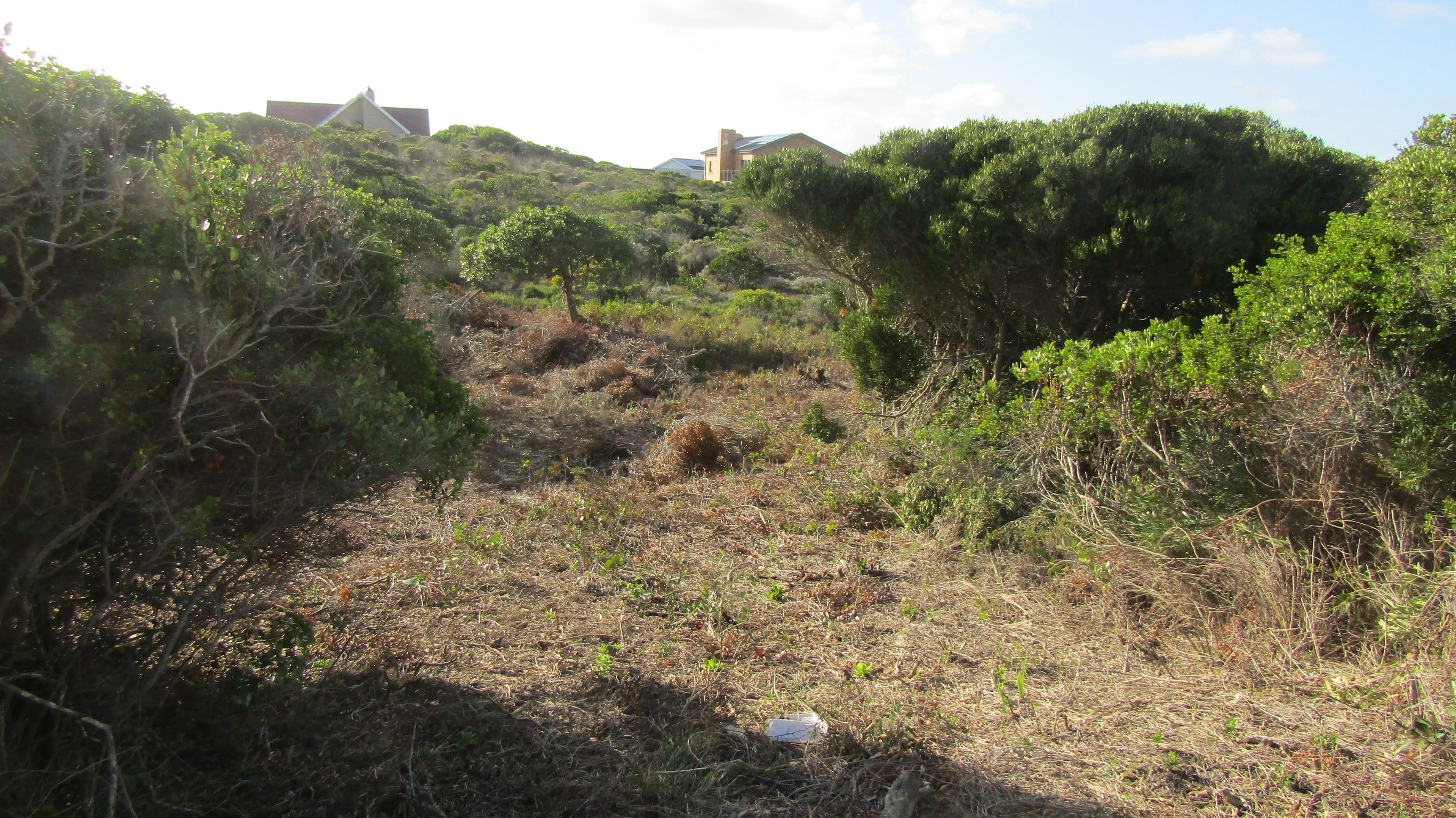 Image 3 of 6