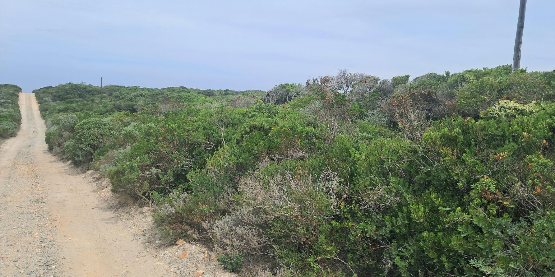 Image 5 of 6