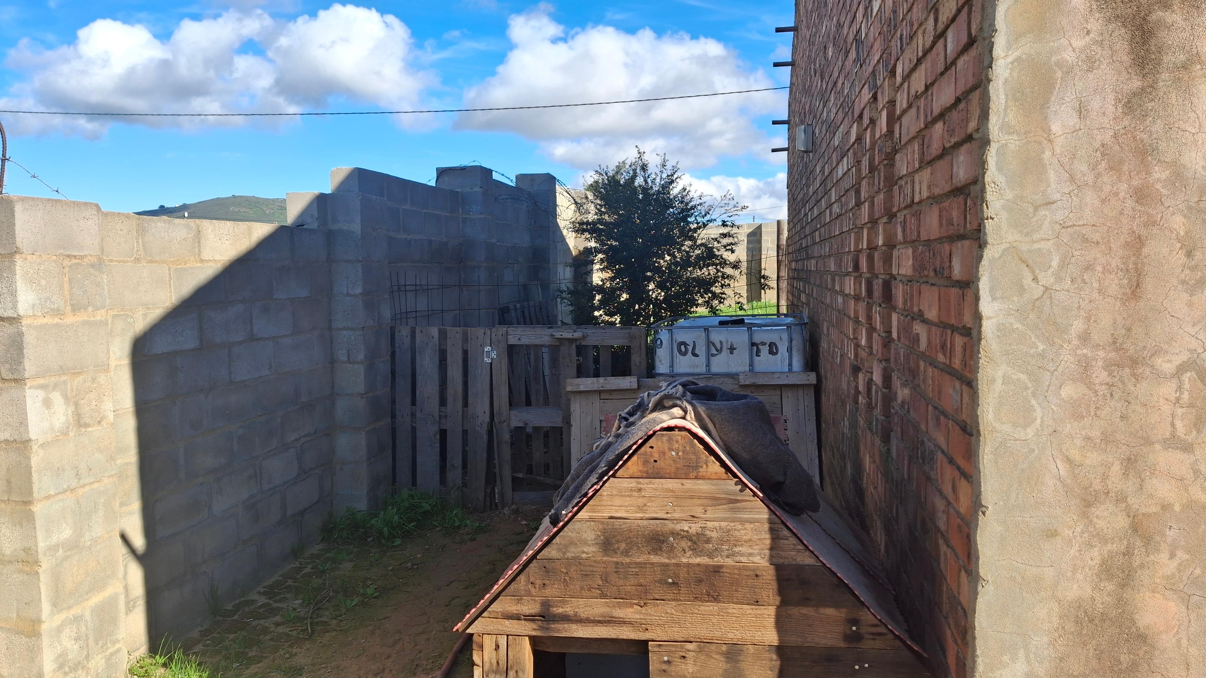 Image 4 of 6
