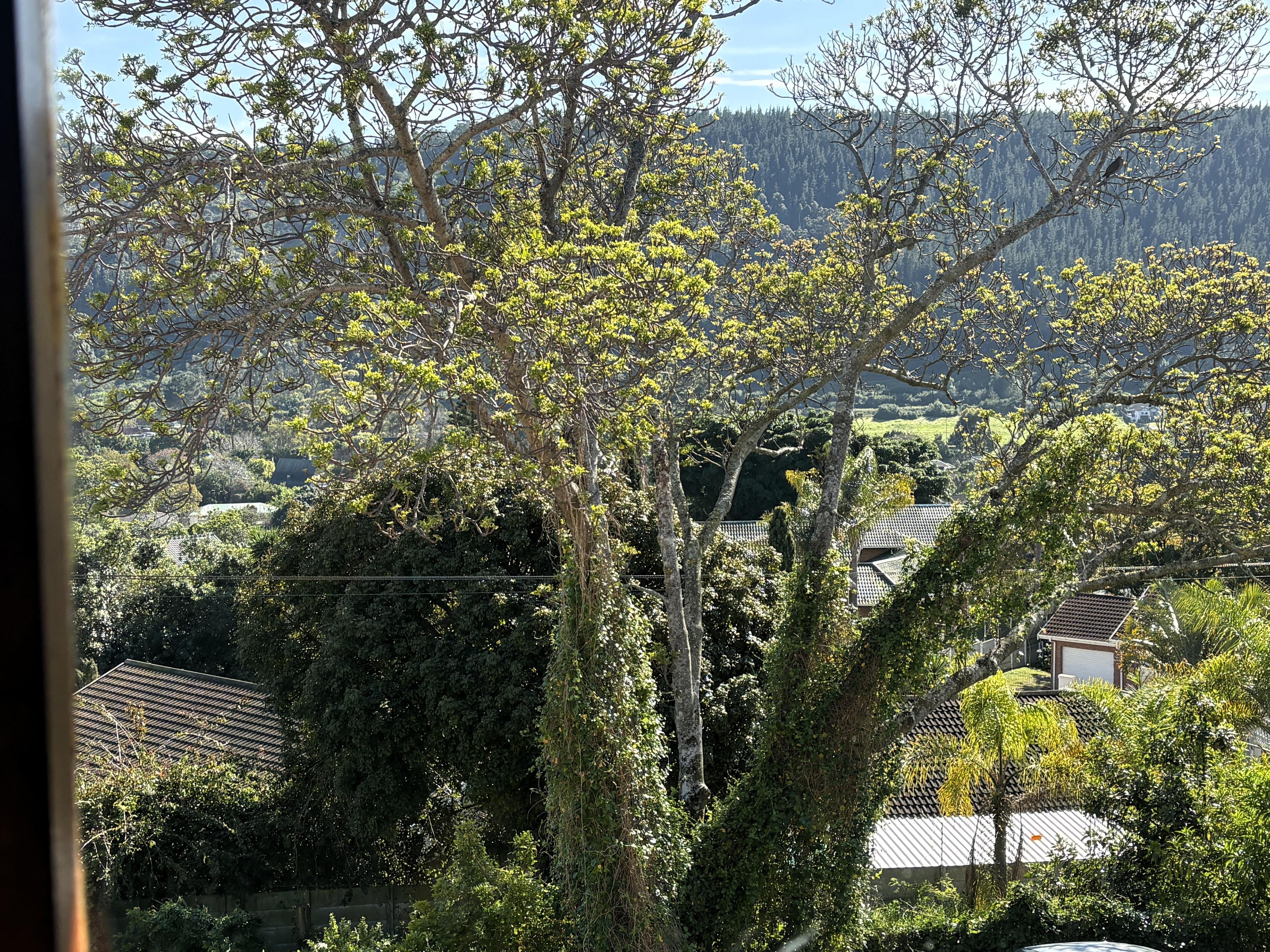 Image 20