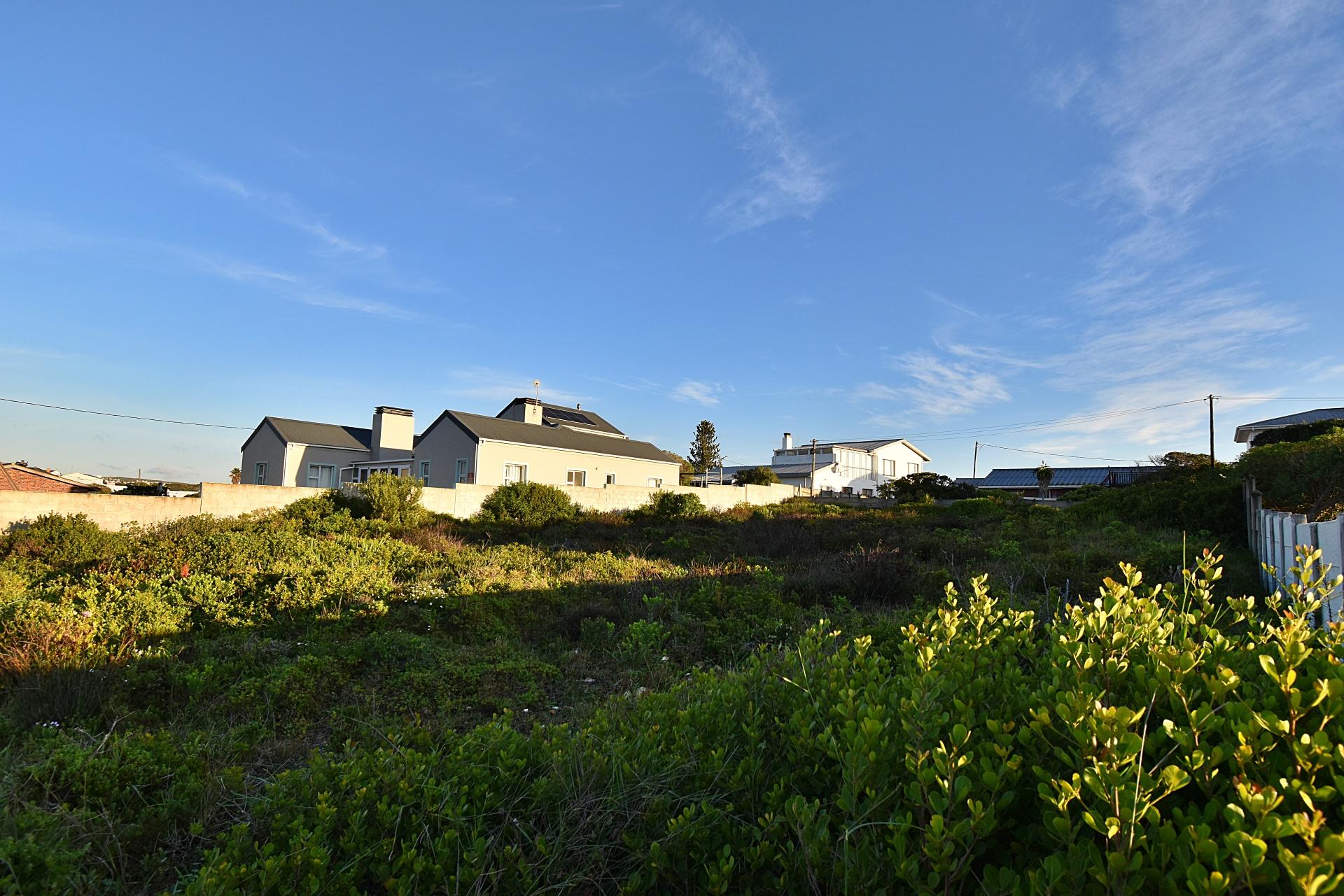 Image 19