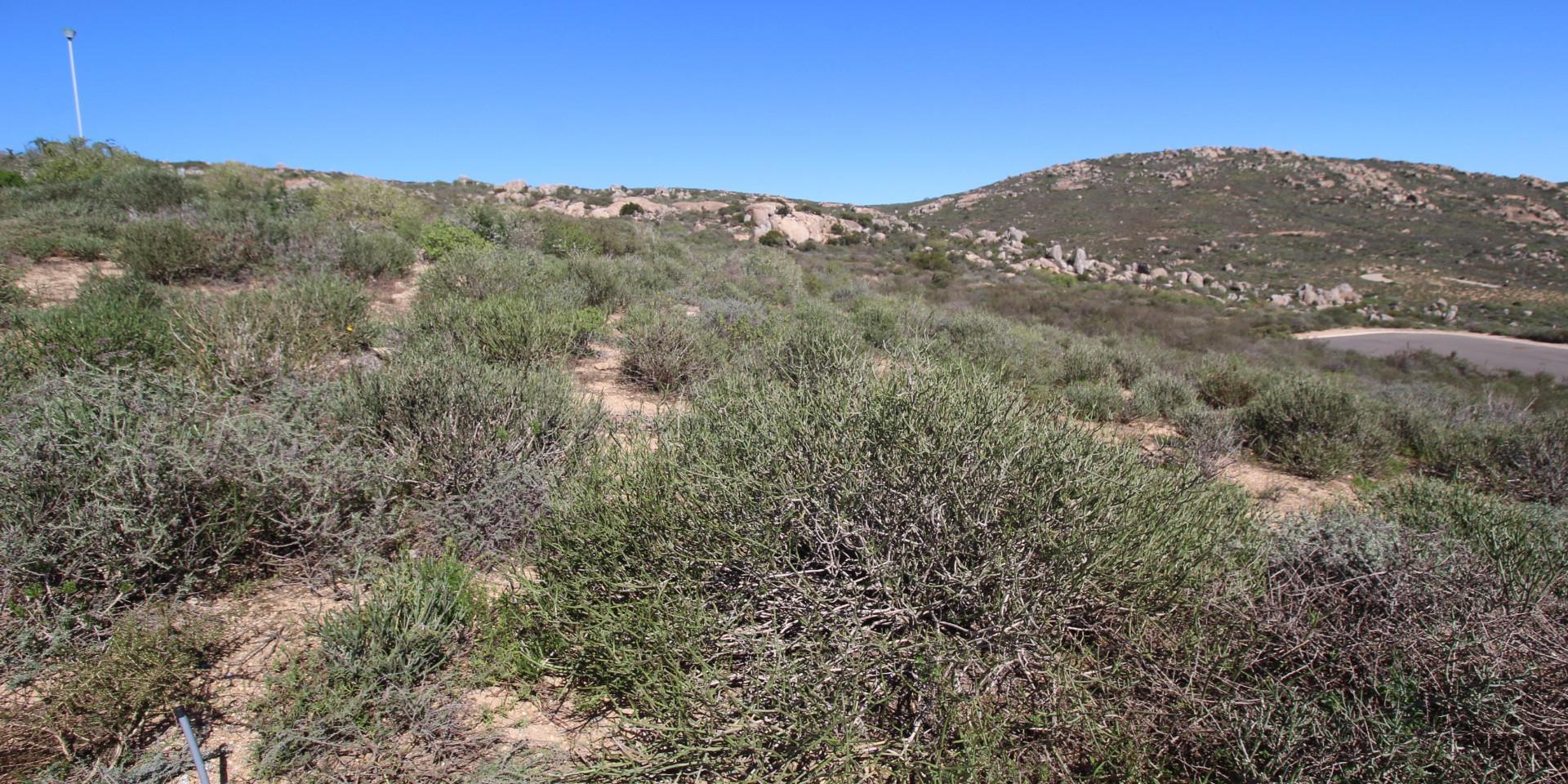 Image 4 of 6
