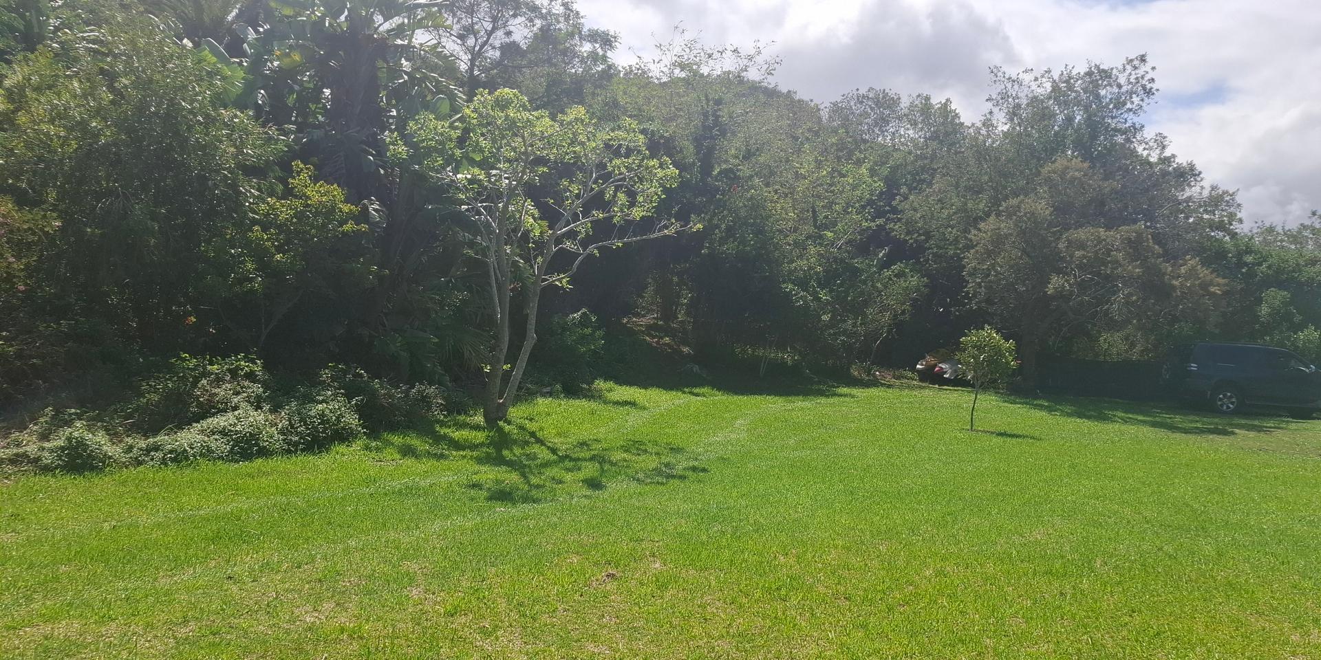 Image 4 of 6