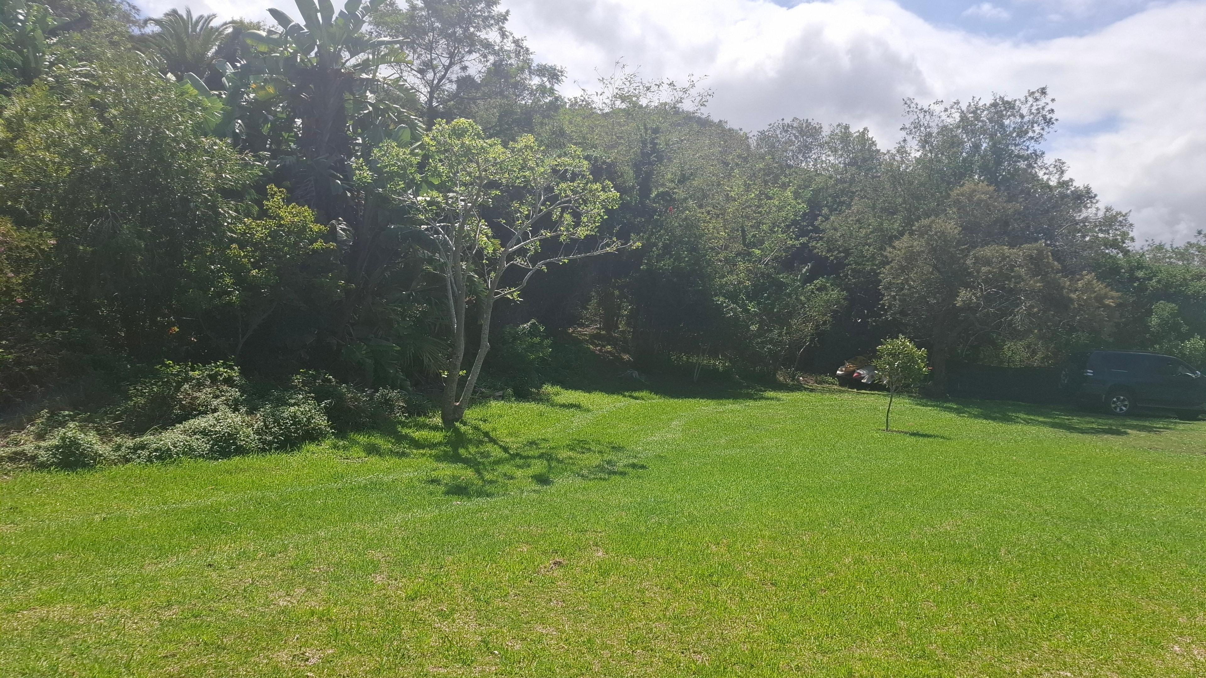 Image 4 of 6