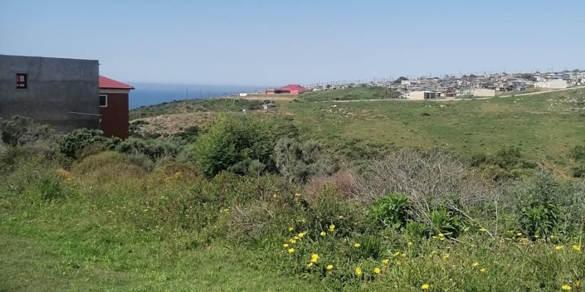 Image 3 of 6