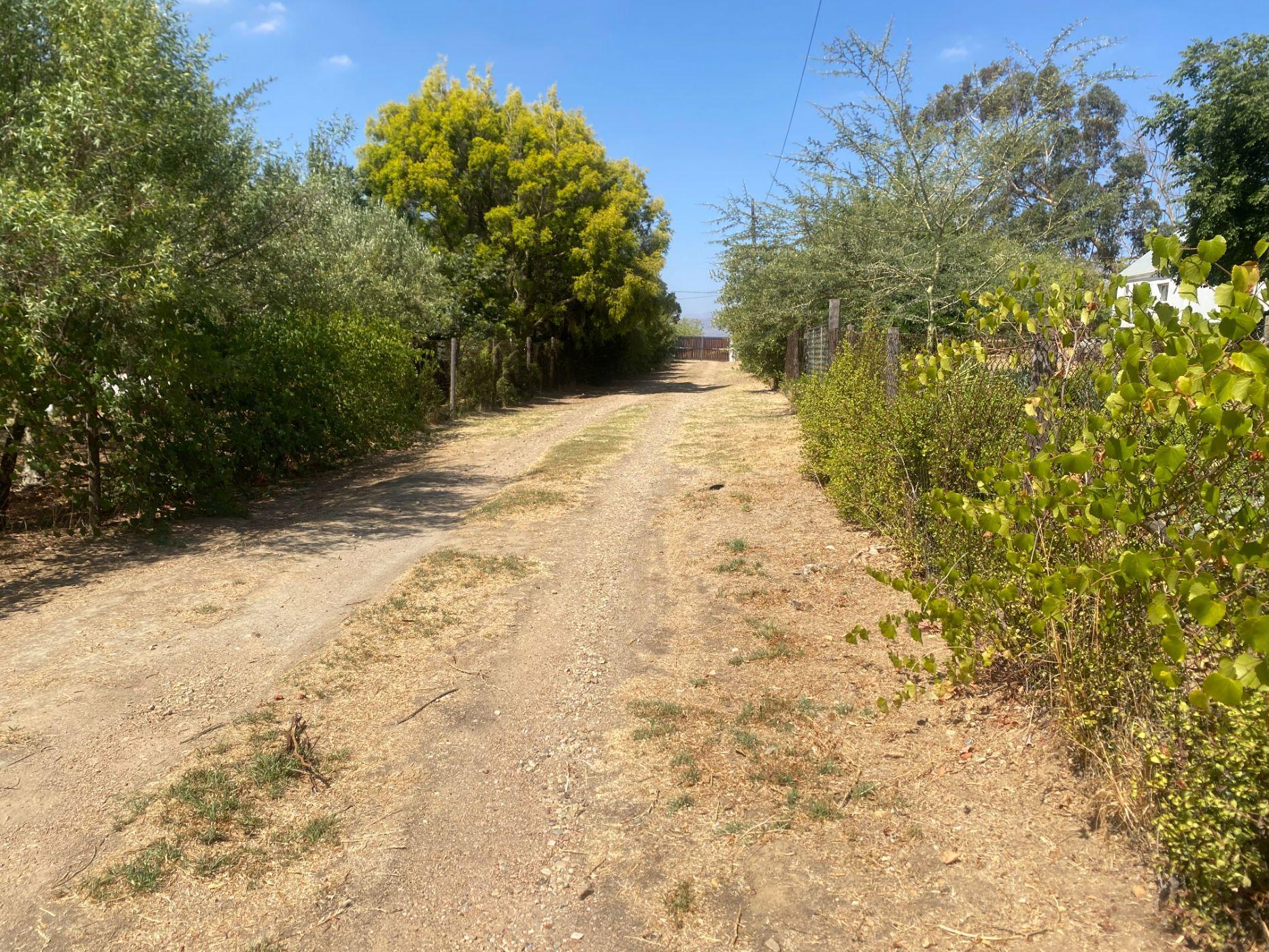 Image 13