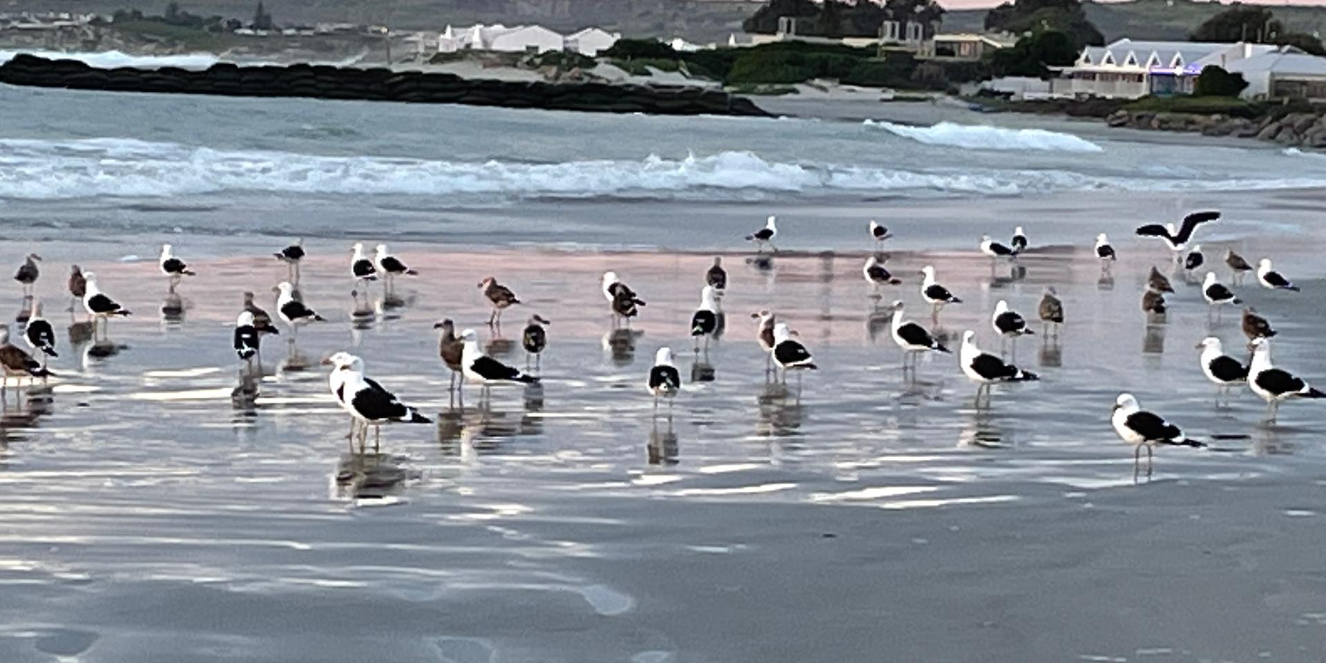 Image 2 of 6