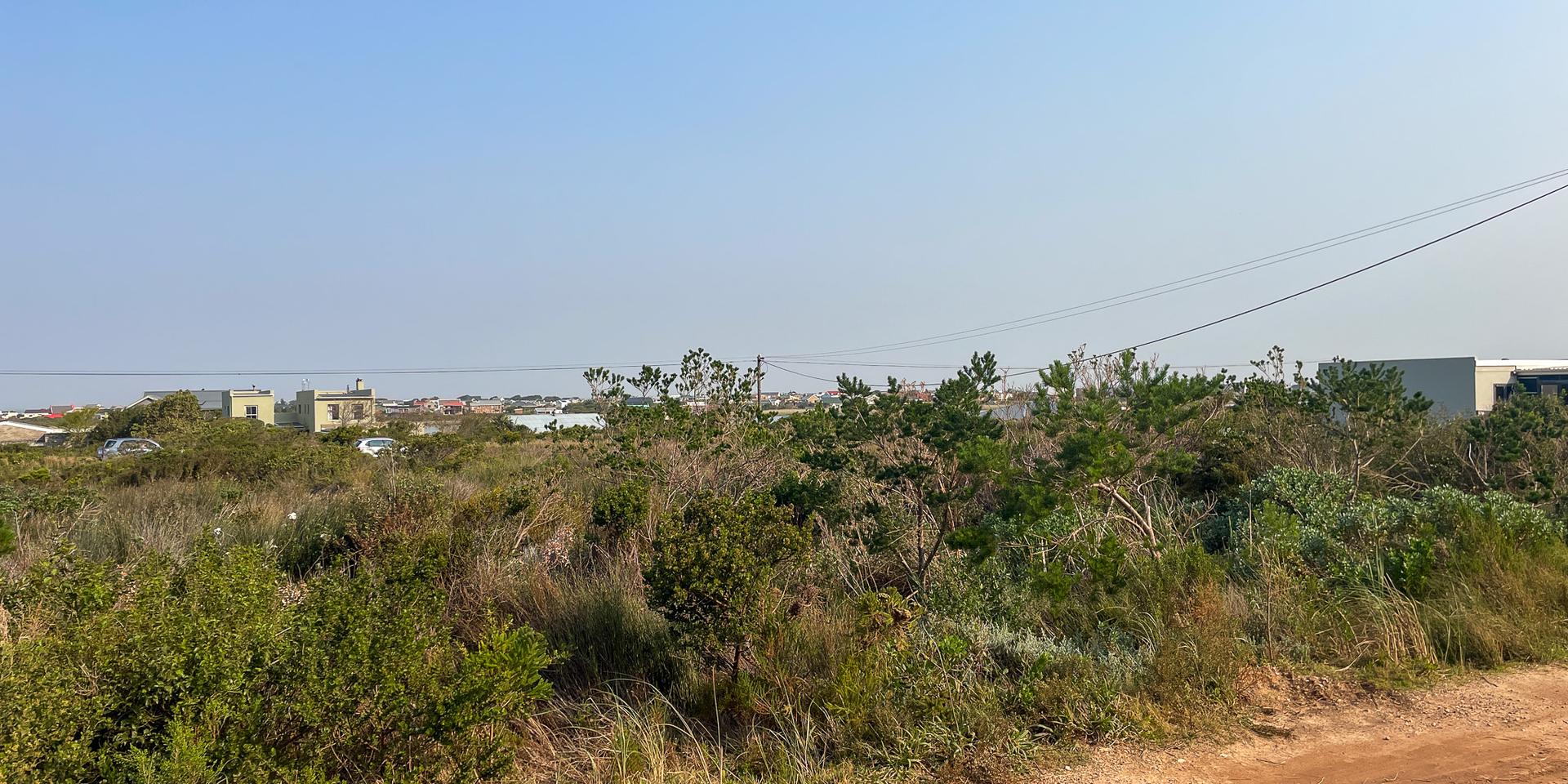 Image 4 of 6