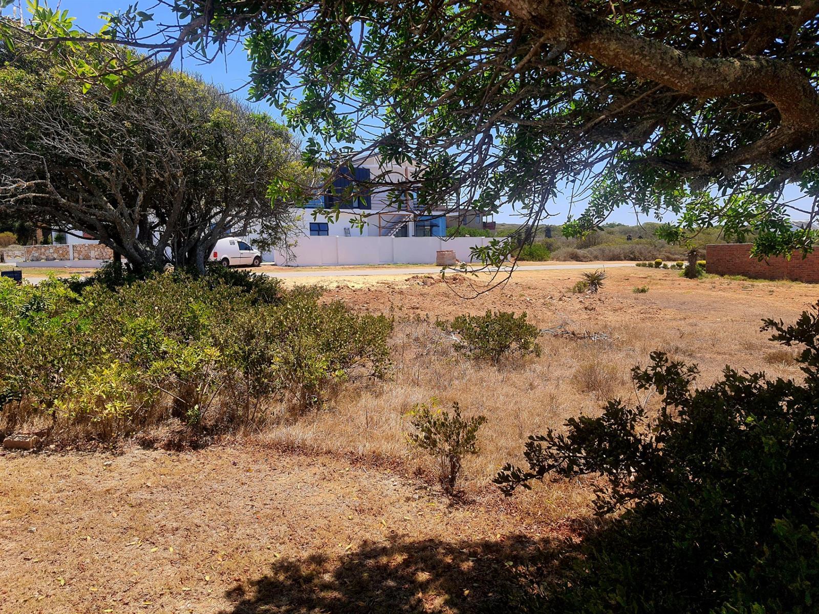 Image 14