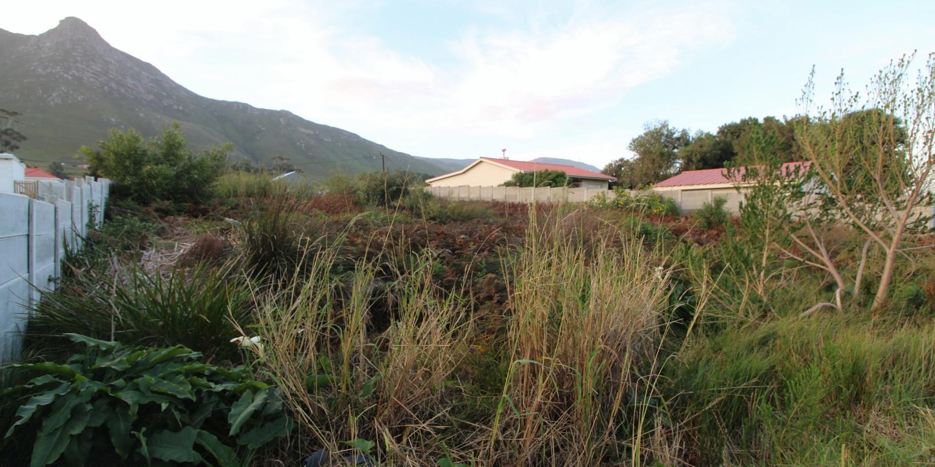 Image 3 of 6