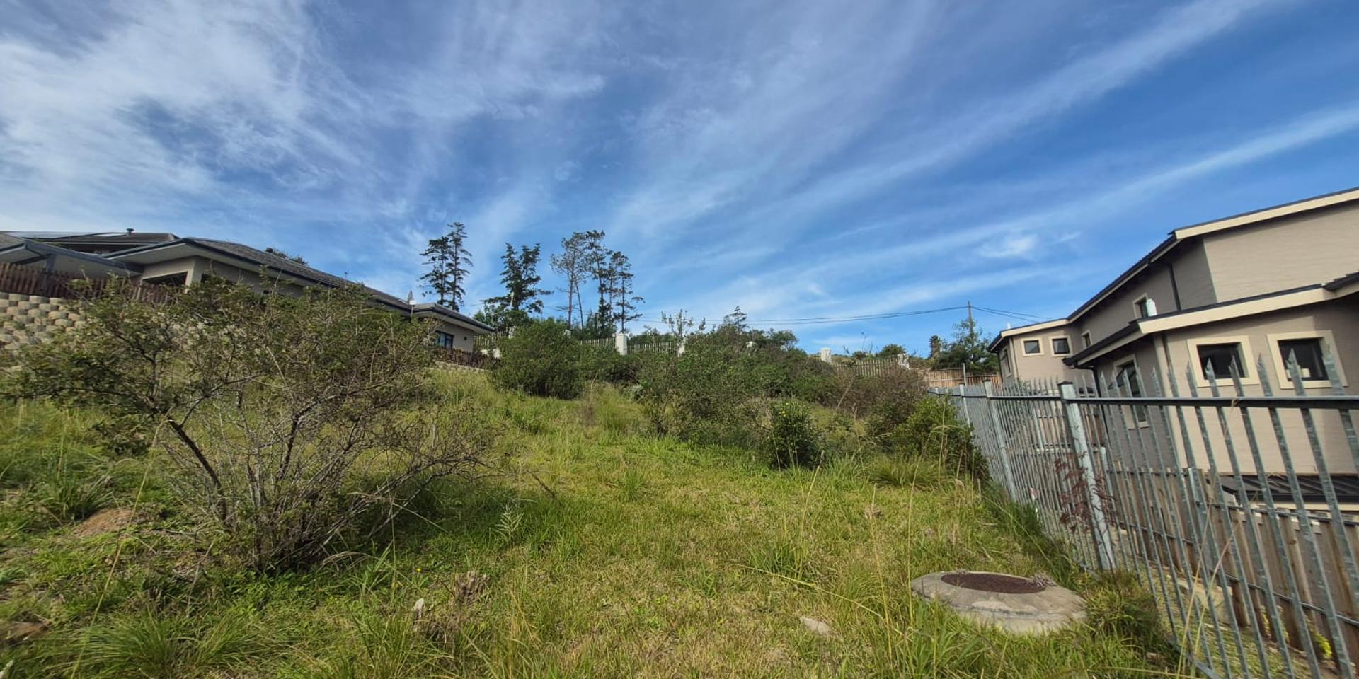 Image 4 of 6
