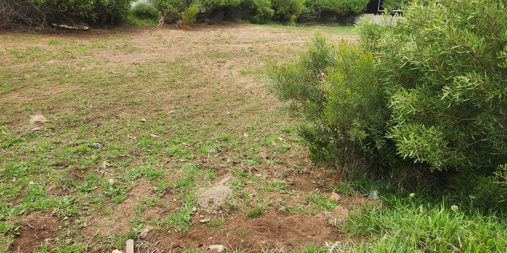 Image 5 of 6