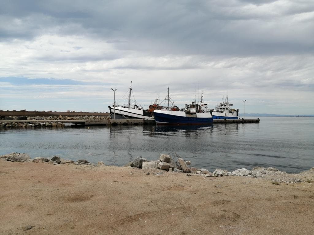 Image 4 of 6