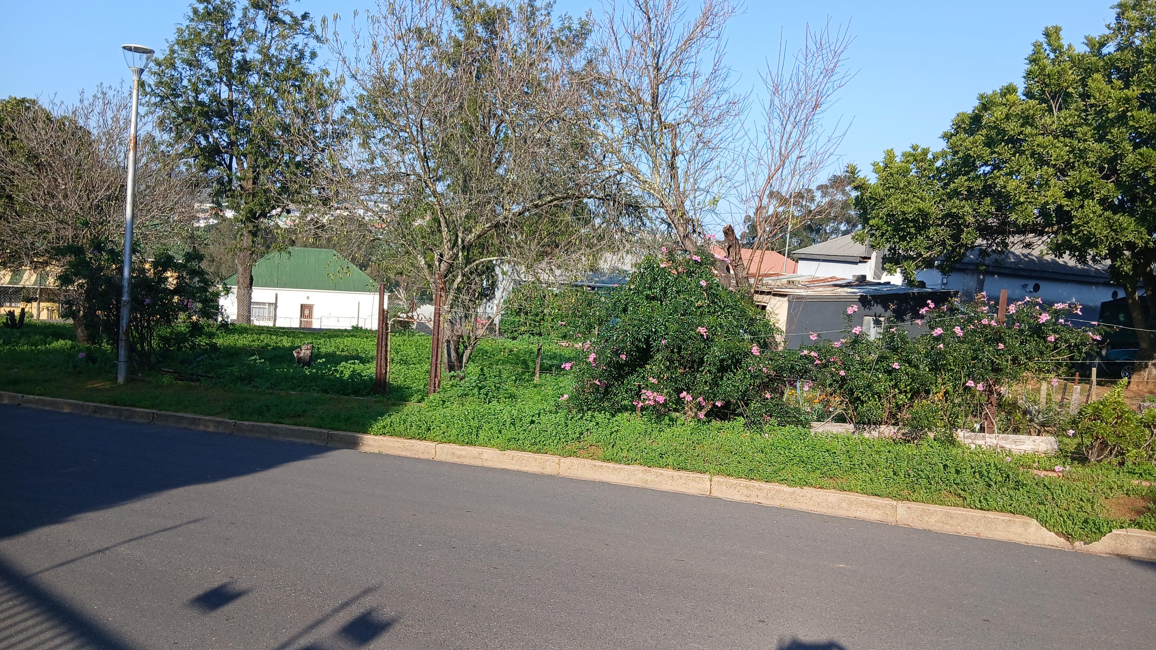 Image 4 of 6